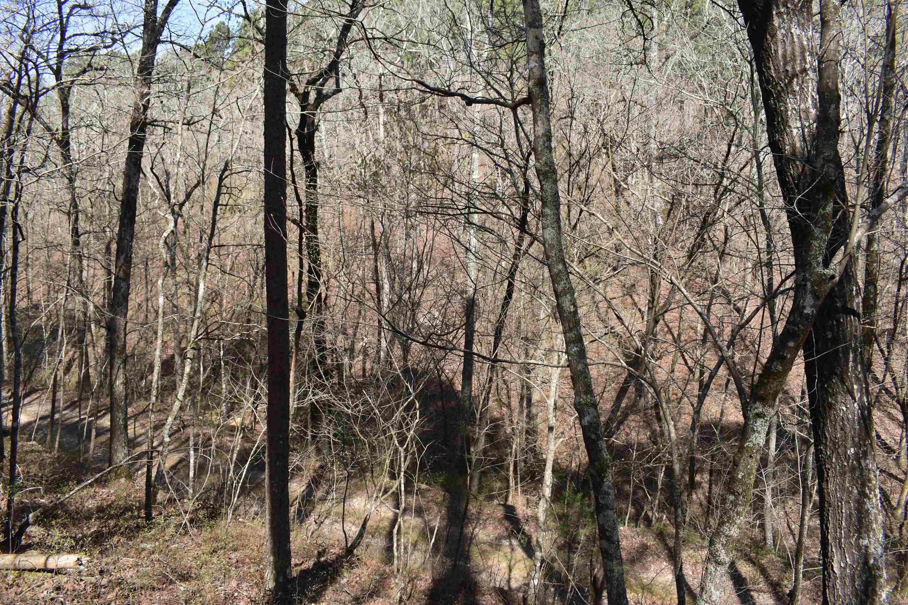 0000 Old Dallas Road  Norman, AR