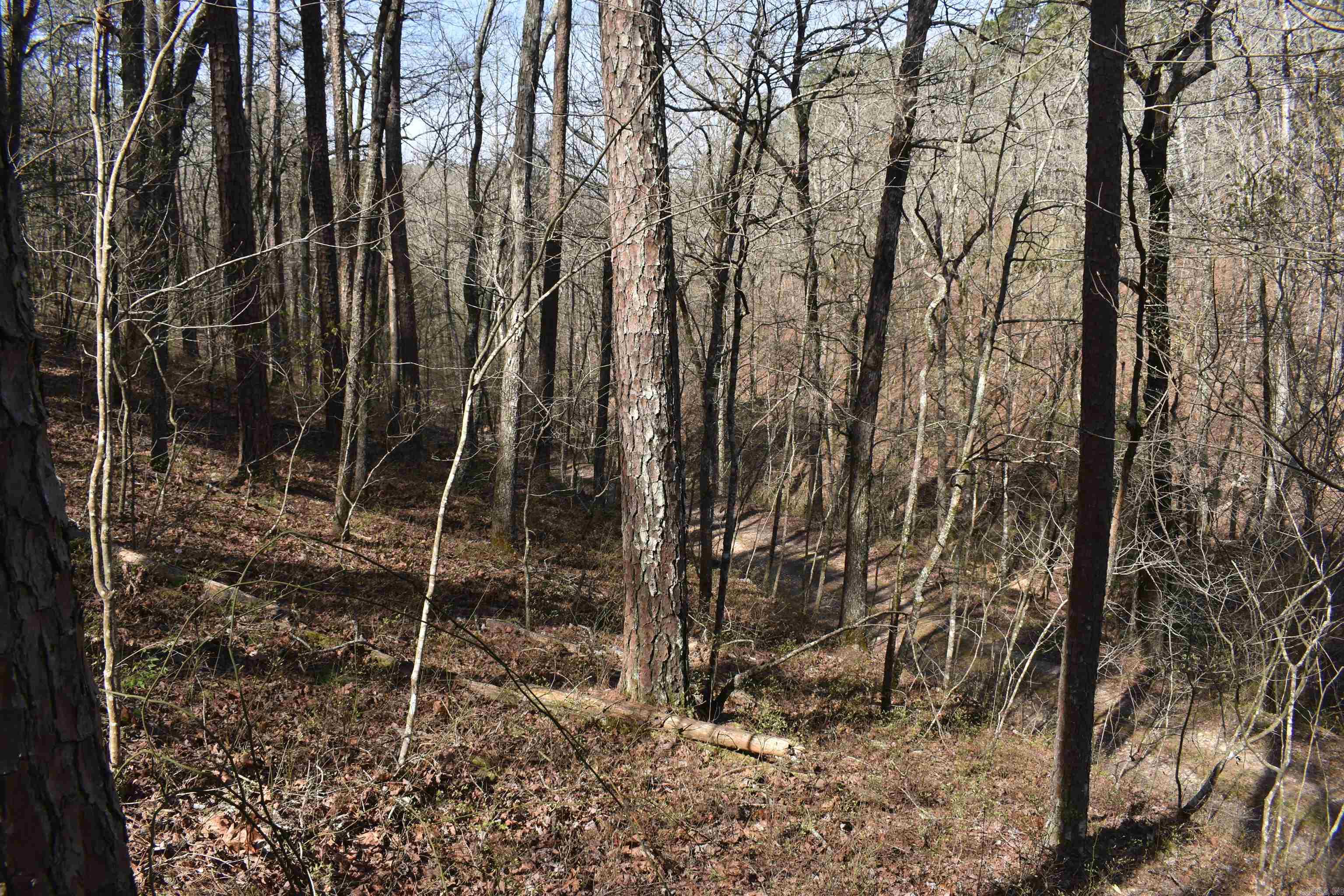 0000 Old Dallas Road  Norman, AR