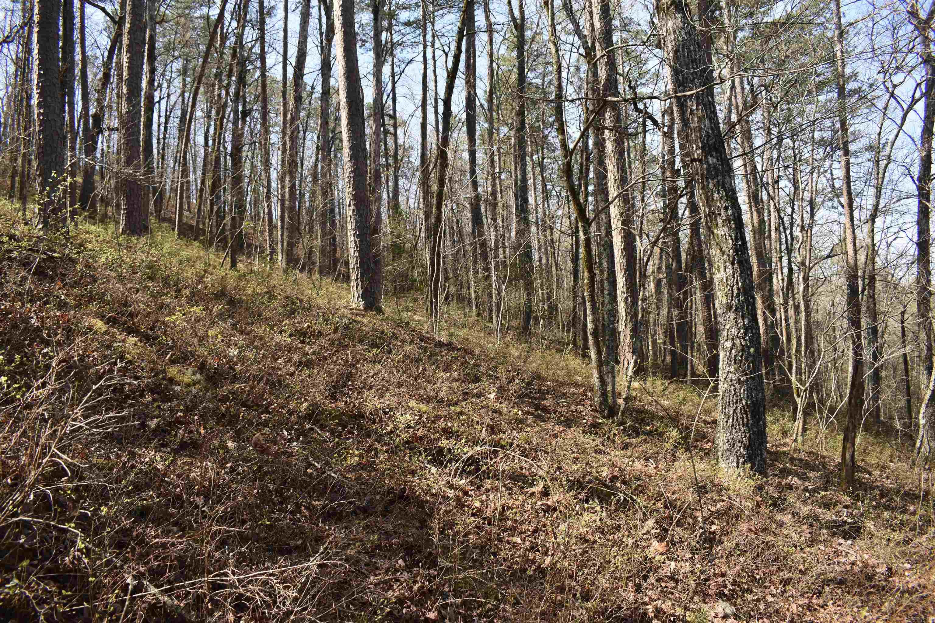 0000 Old Dallas Road  Norman, AR