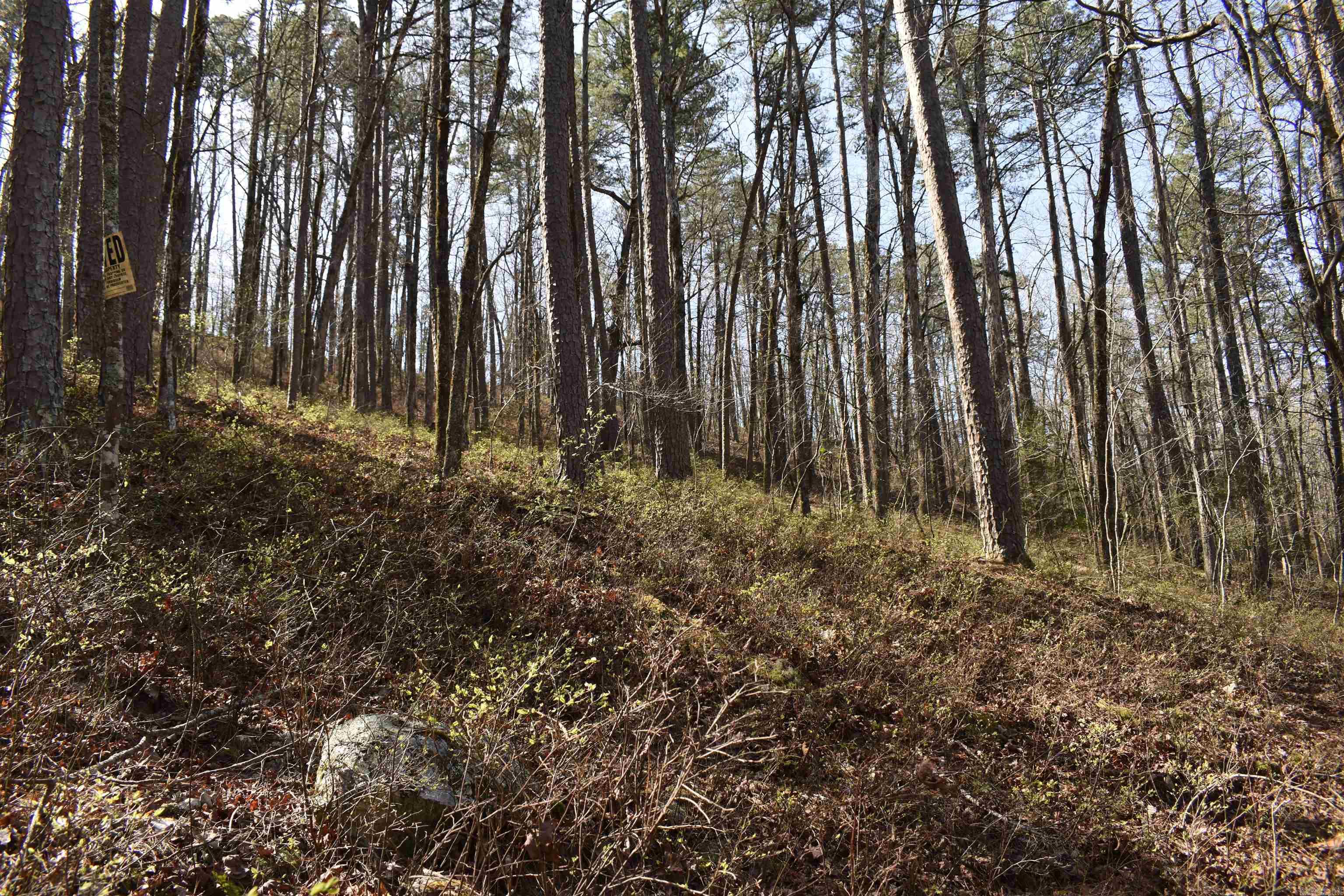 0000 Old Dallas Road  Norman, AR