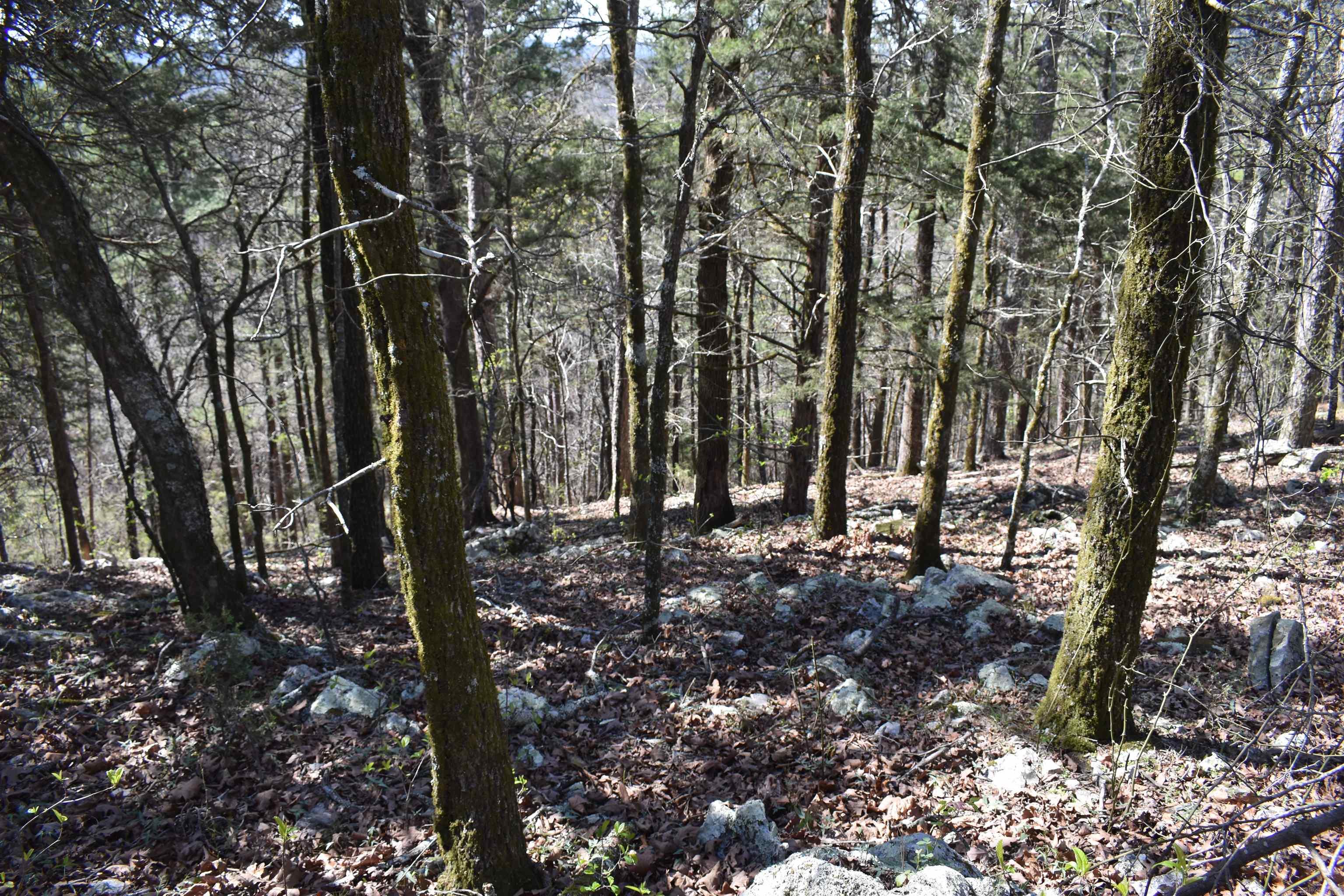 0000 Old Dallas Road  Norman, AR