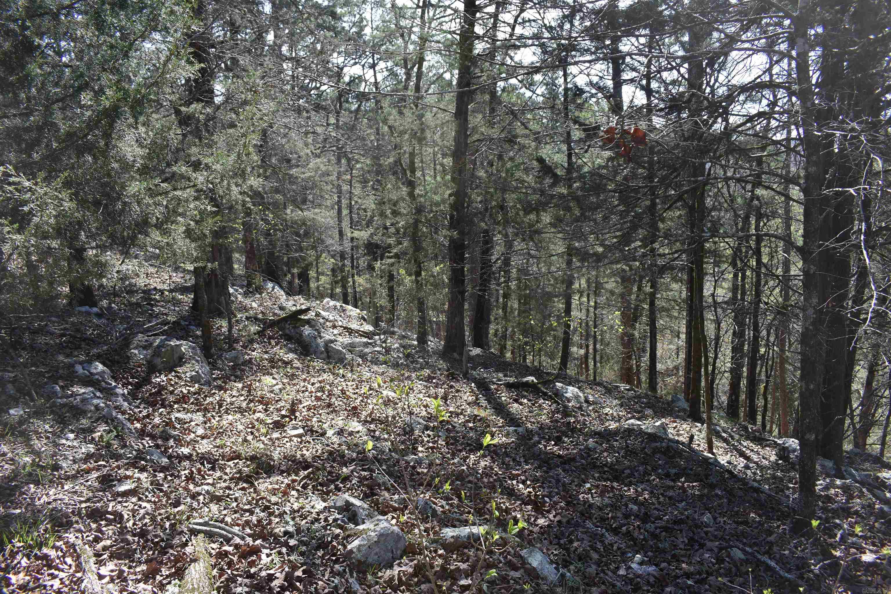 0000 Old Dallas Road  Norman, AR