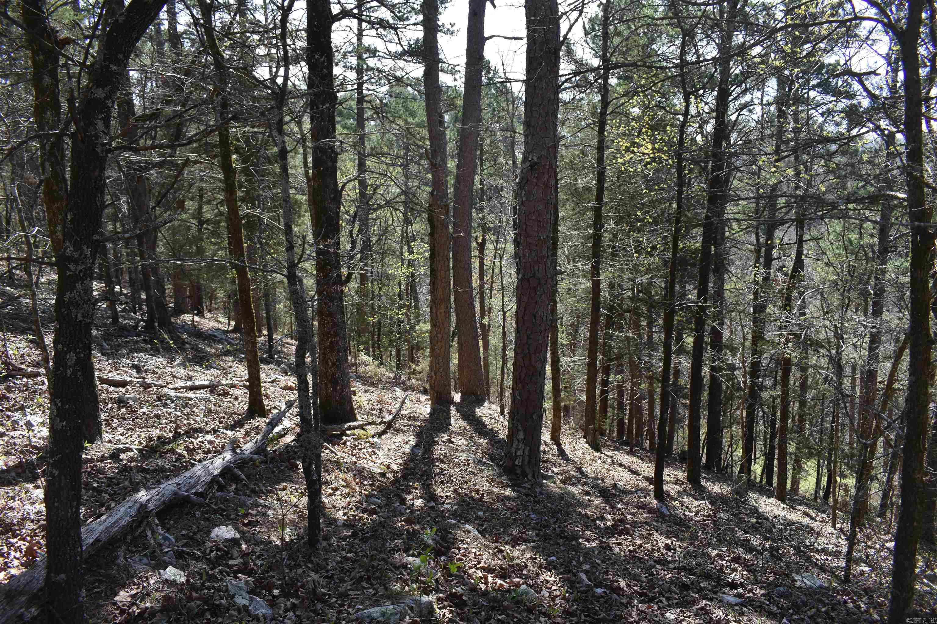 0000 Old Dallas Road  Norman, AR