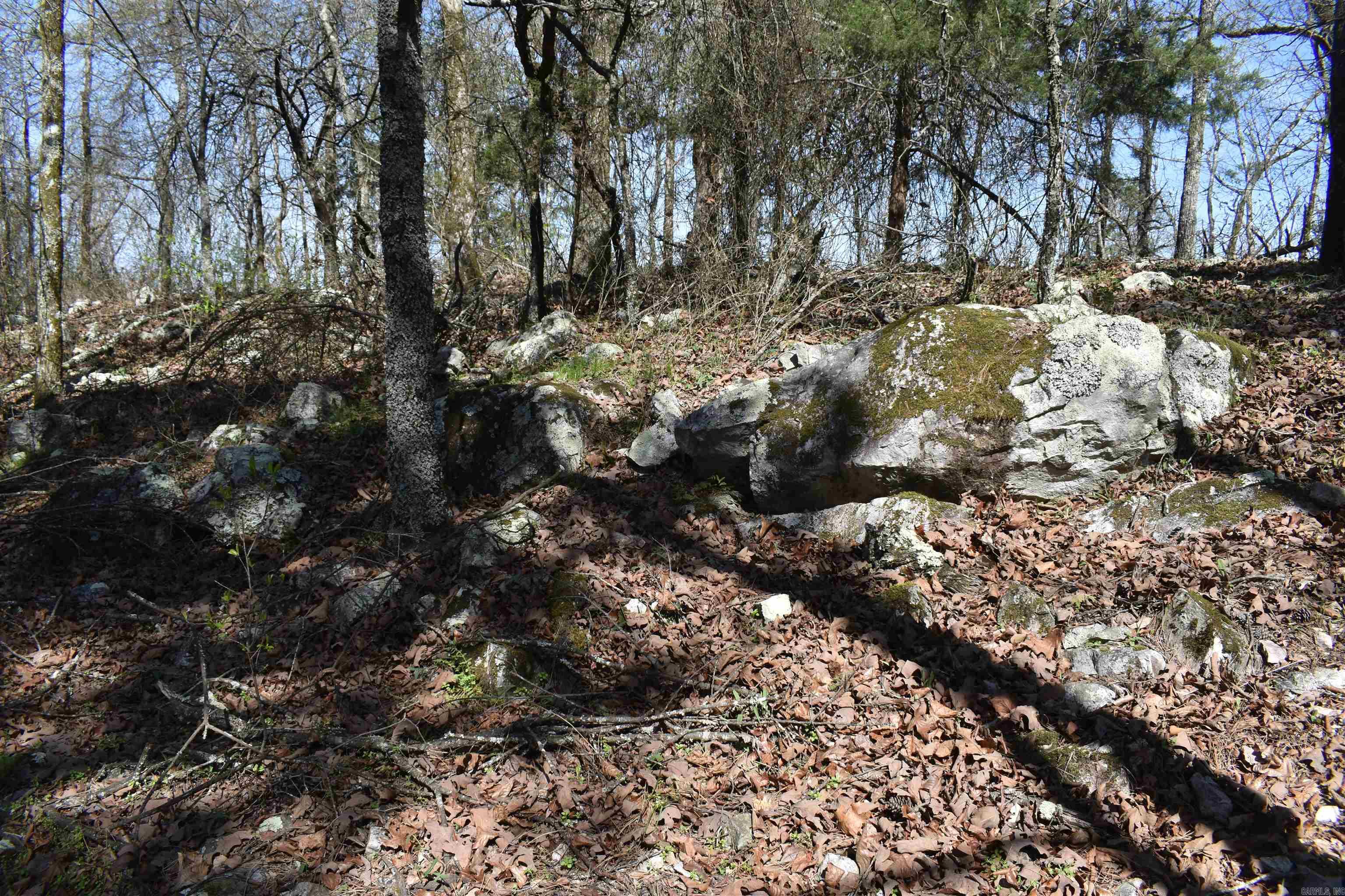 0000 Old Dallas Road  Norman, AR