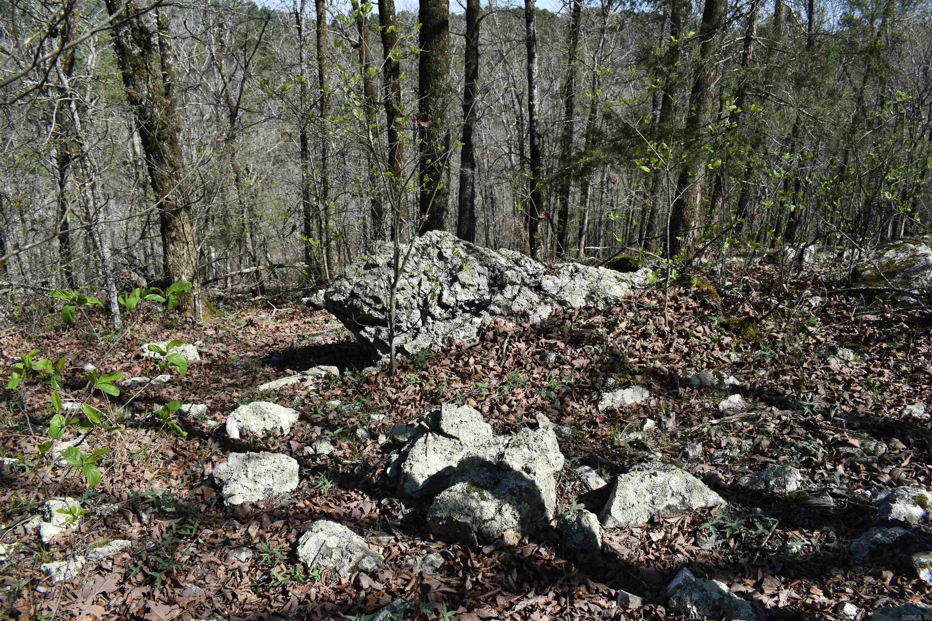 0000 Old Dallas Road  Norman, AR