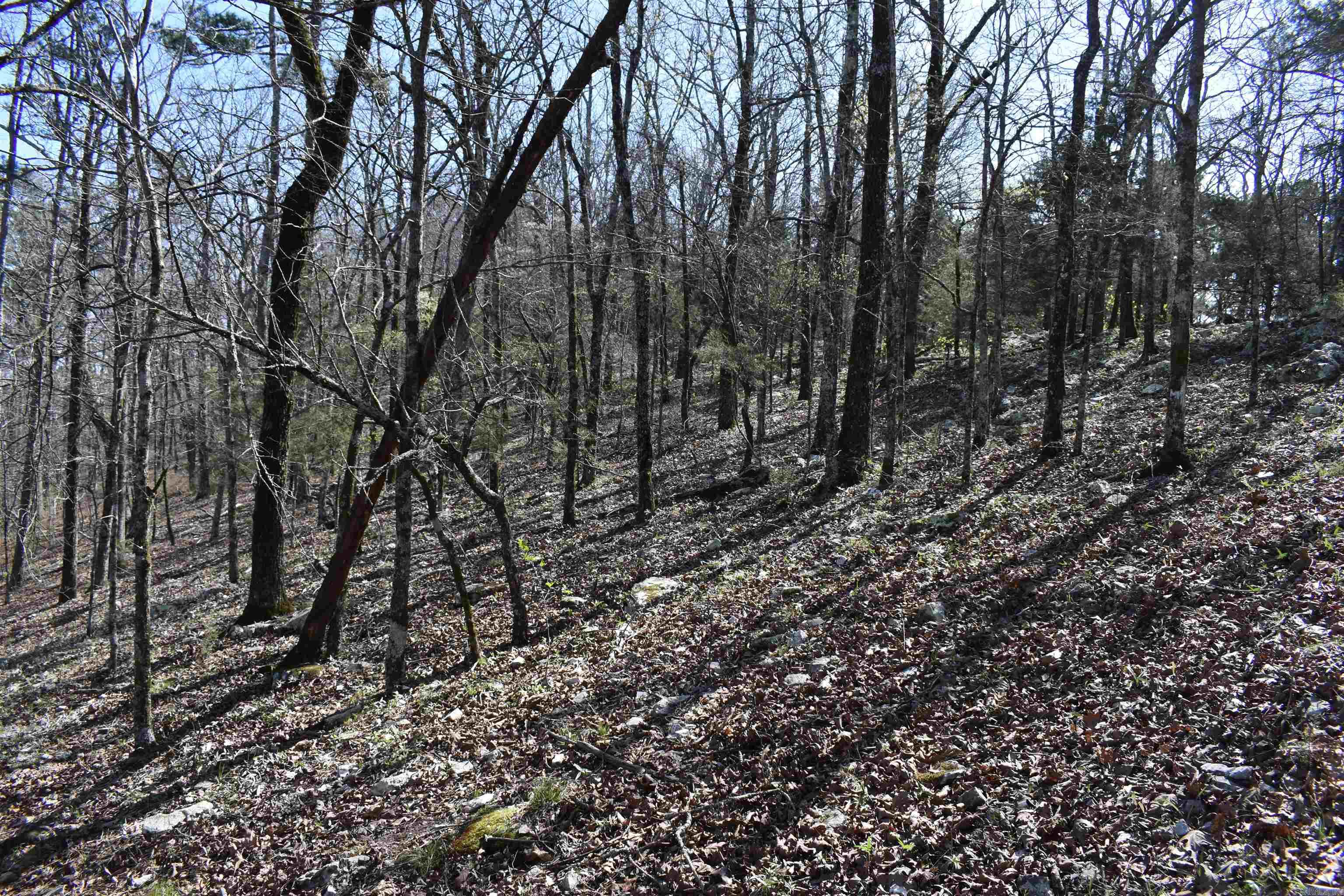 0000 Old Dallas Road  Norman, AR