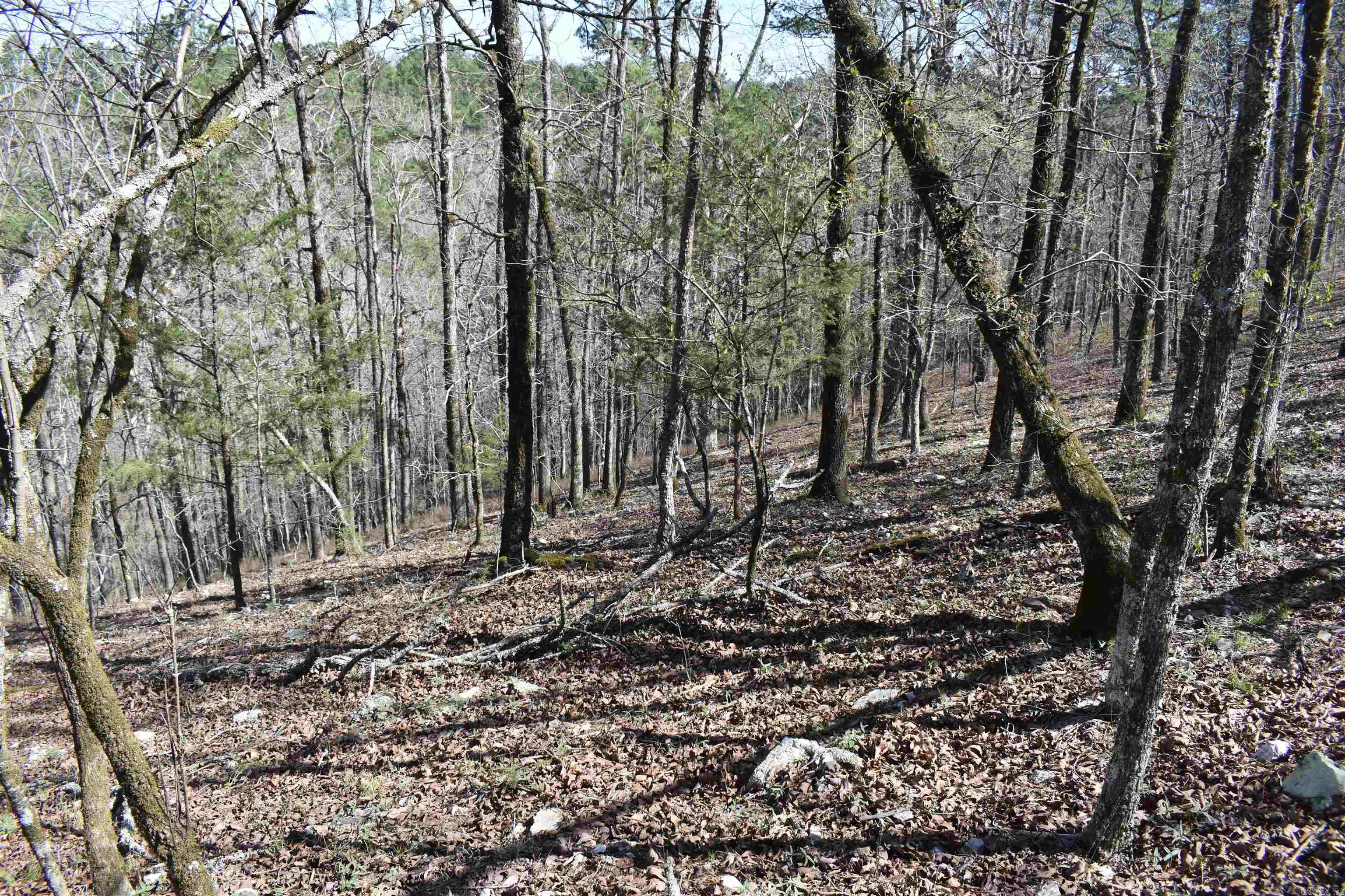 0000 Old Dallas Road  Norman, AR