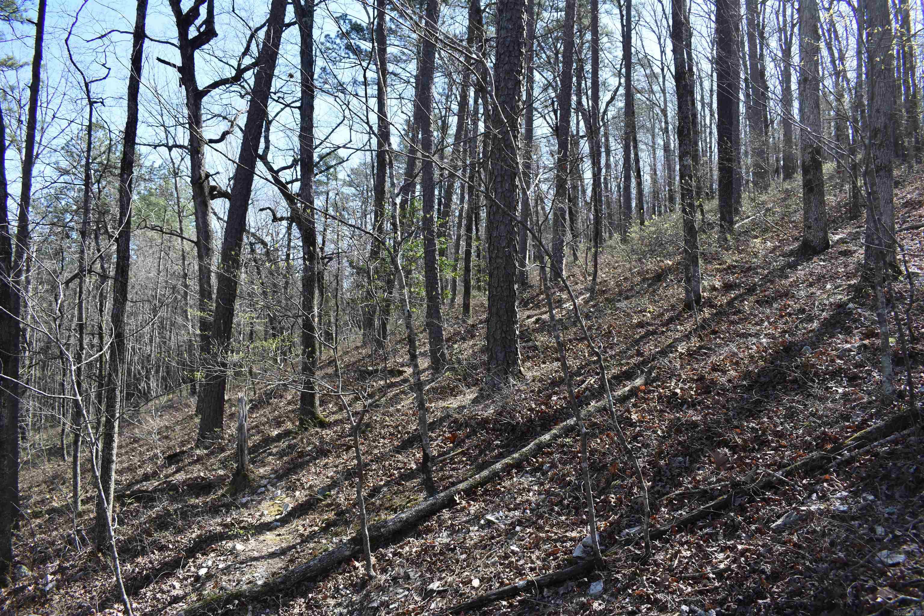 0000 Old Dallas Road  Norman, AR