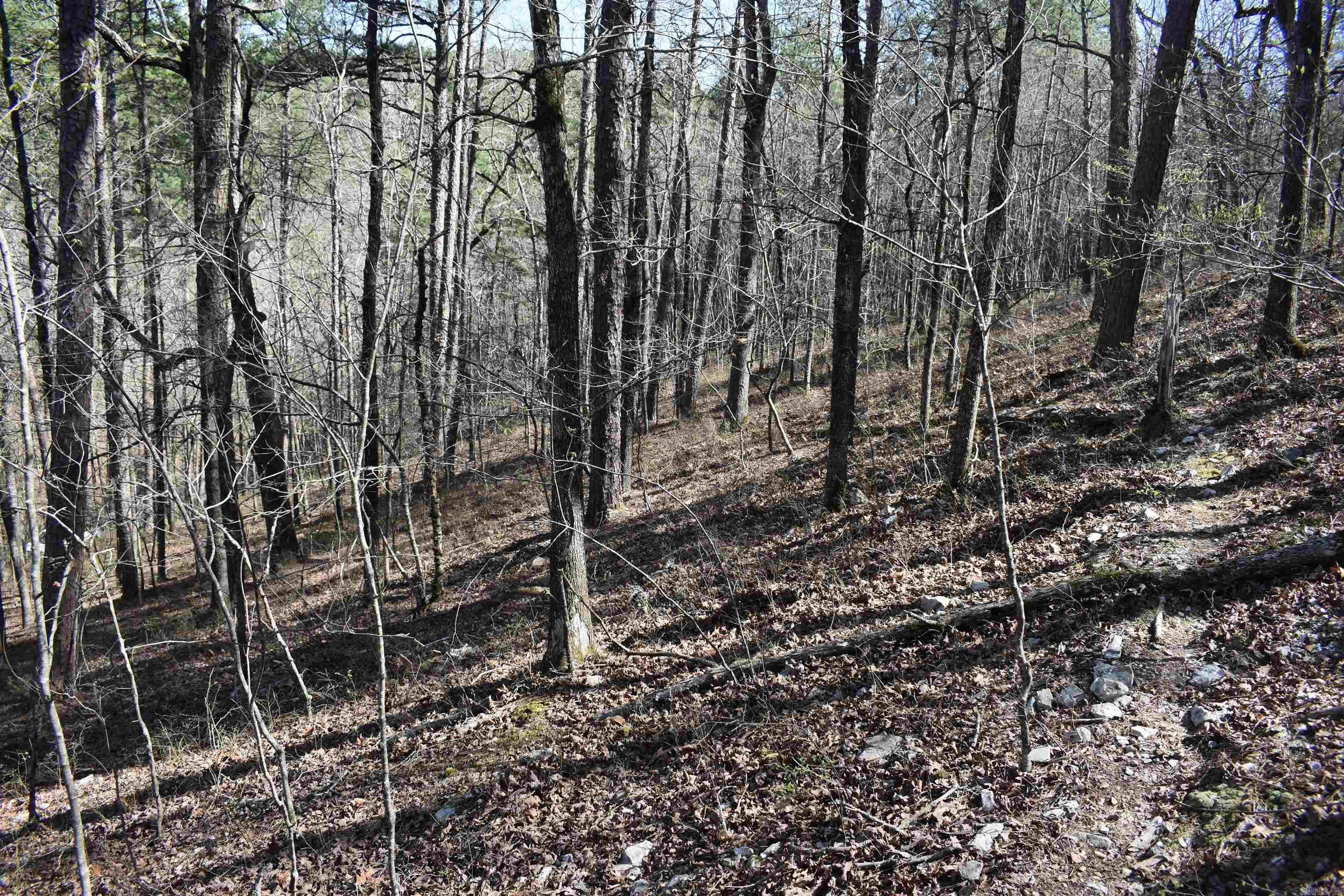 0000 Old Dallas Road  Norman, AR