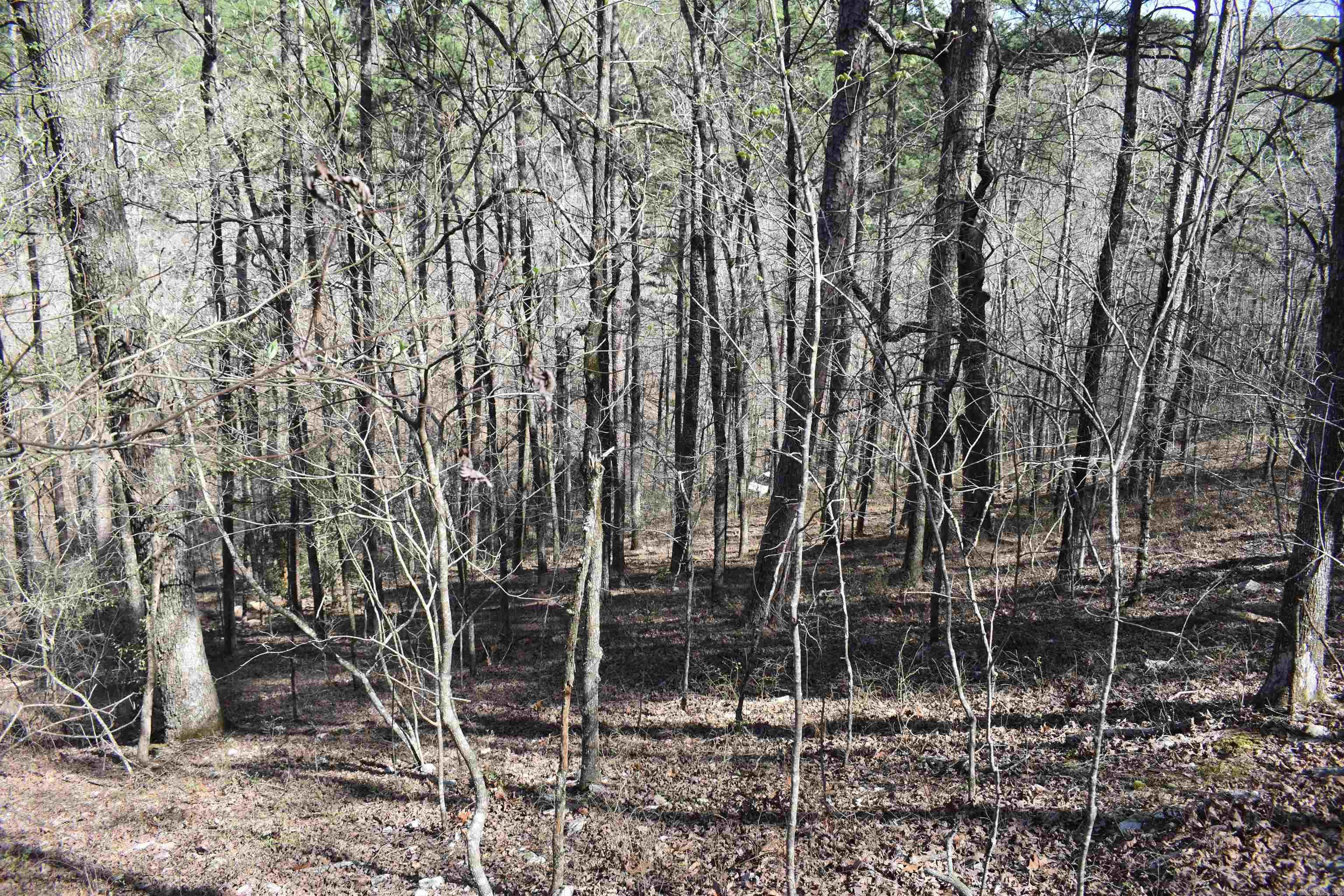 0000 Old Dallas Road  Norman, AR