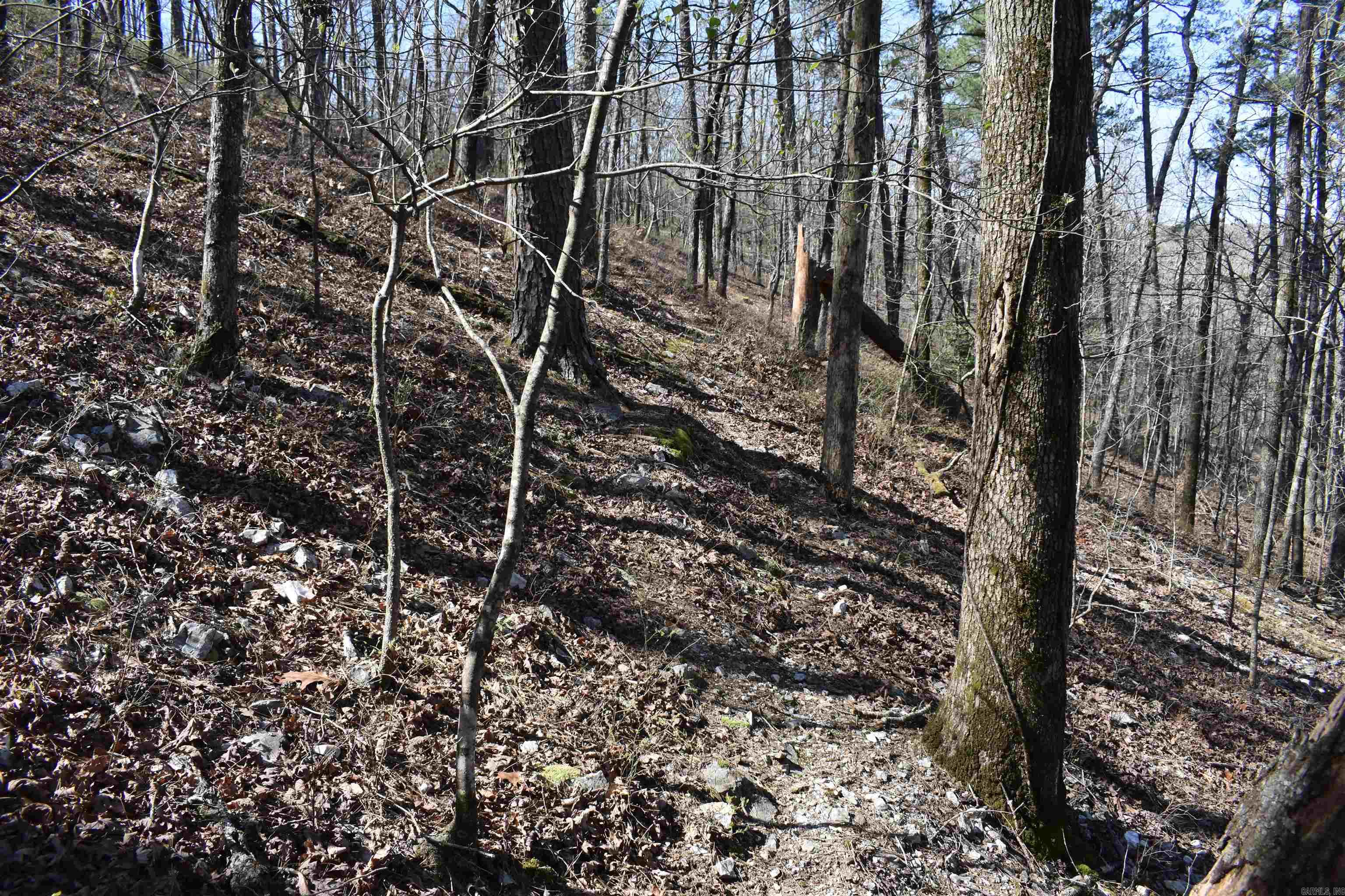 0000 Old Dallas Road  Norman, AR