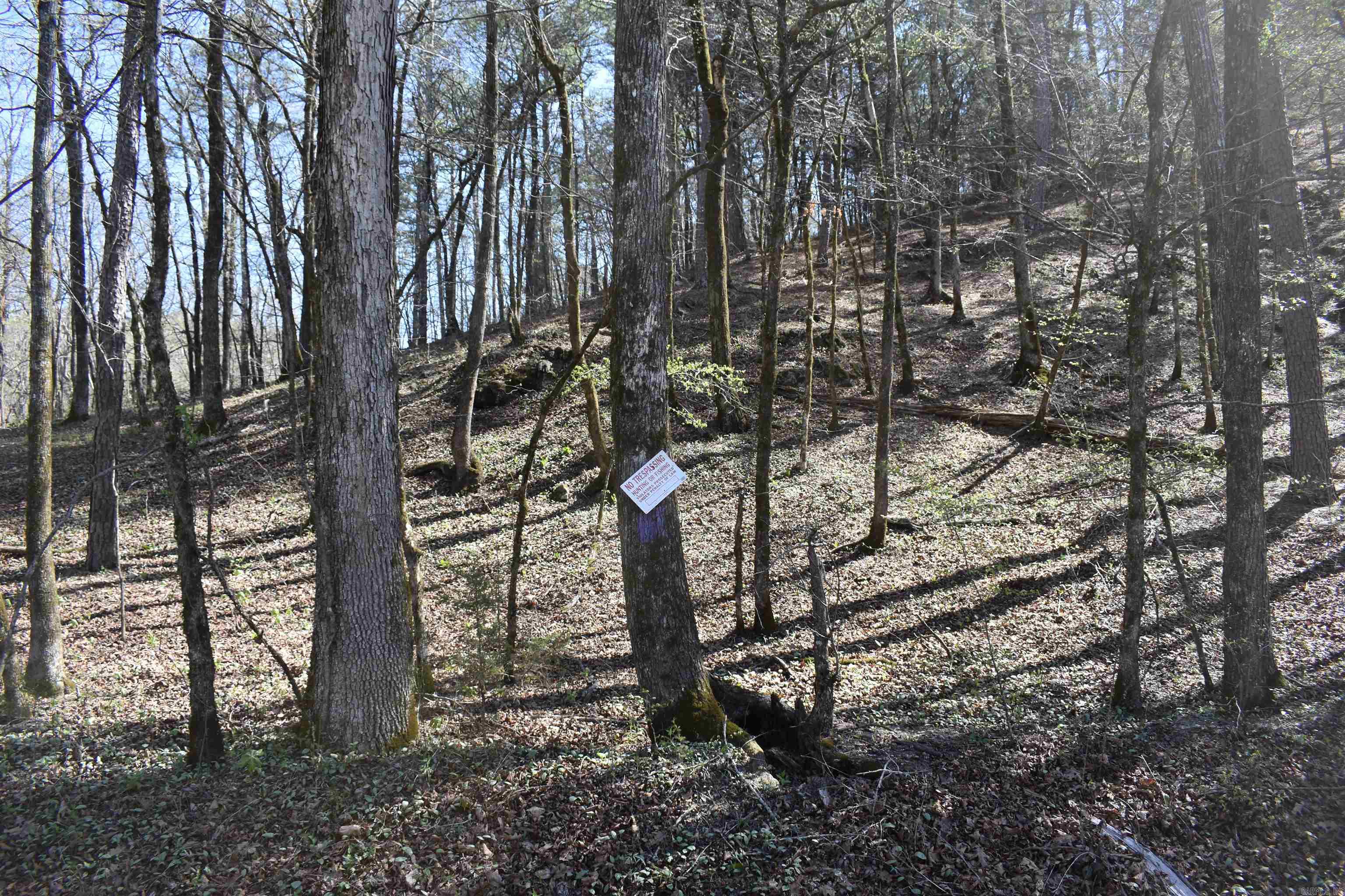 0000 Old Dallas Road  Norman, AR