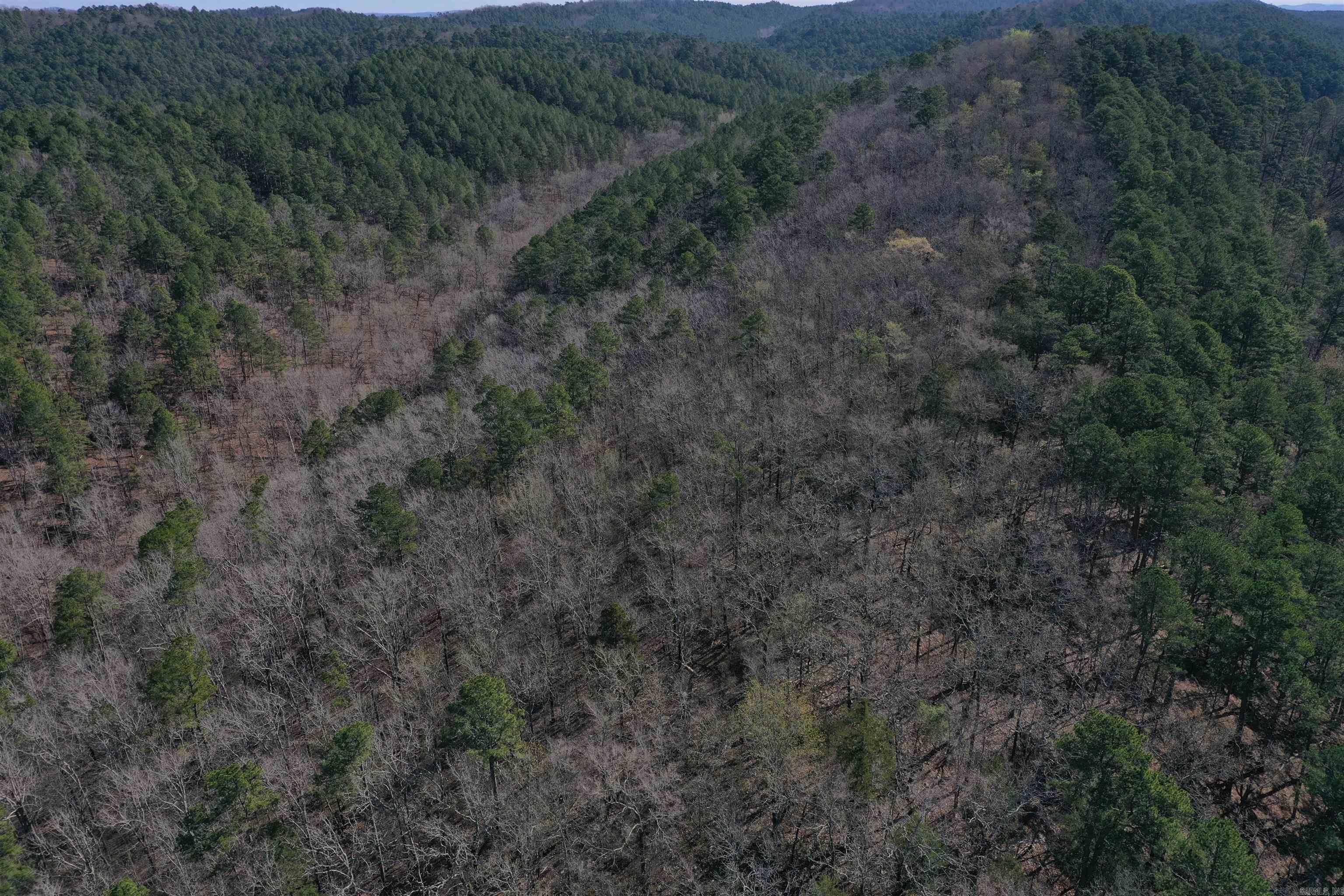 0000 Old Dallas Road  Norman, AR