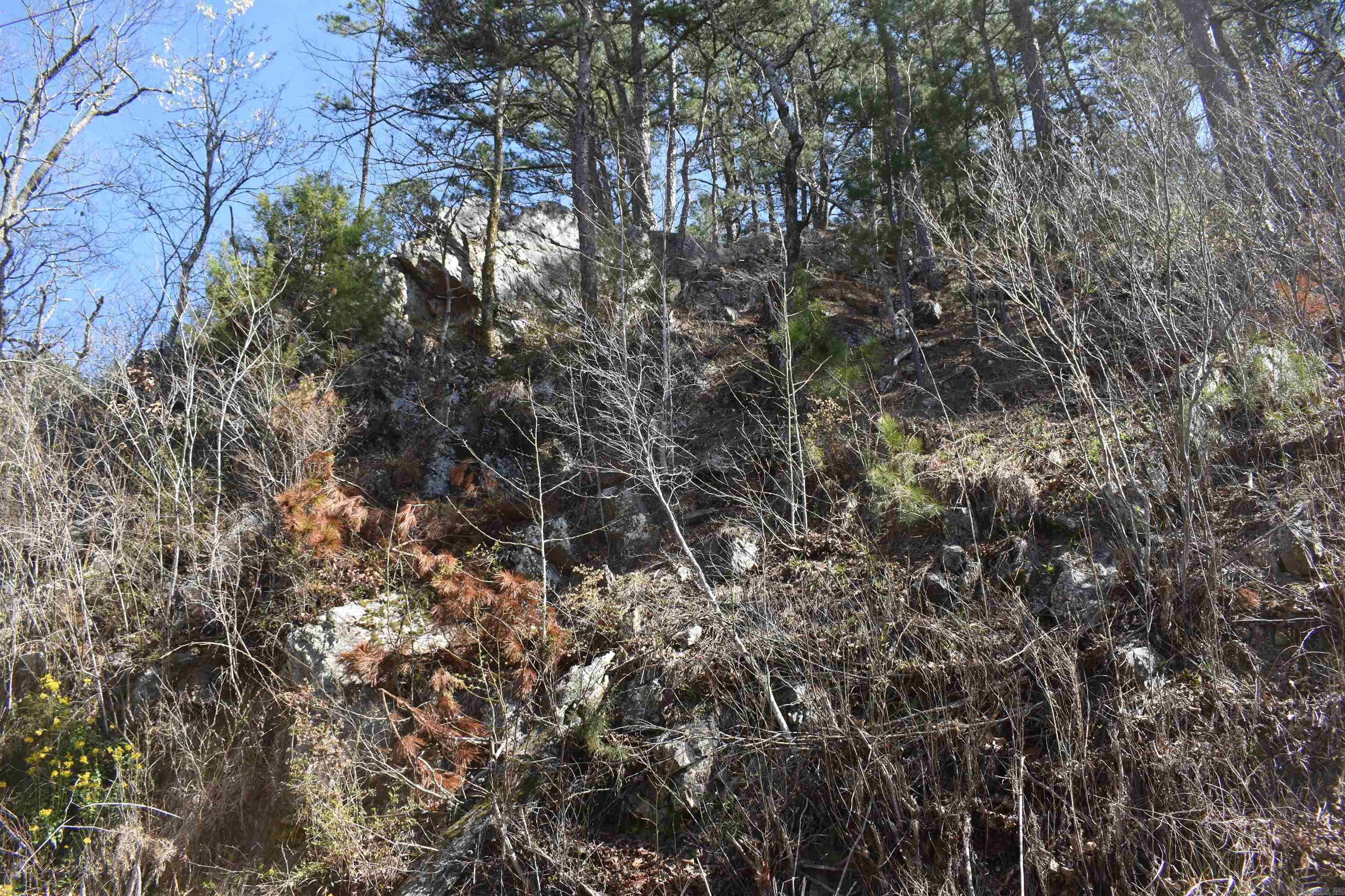 0000 Old Dallas Road  Norman, AR