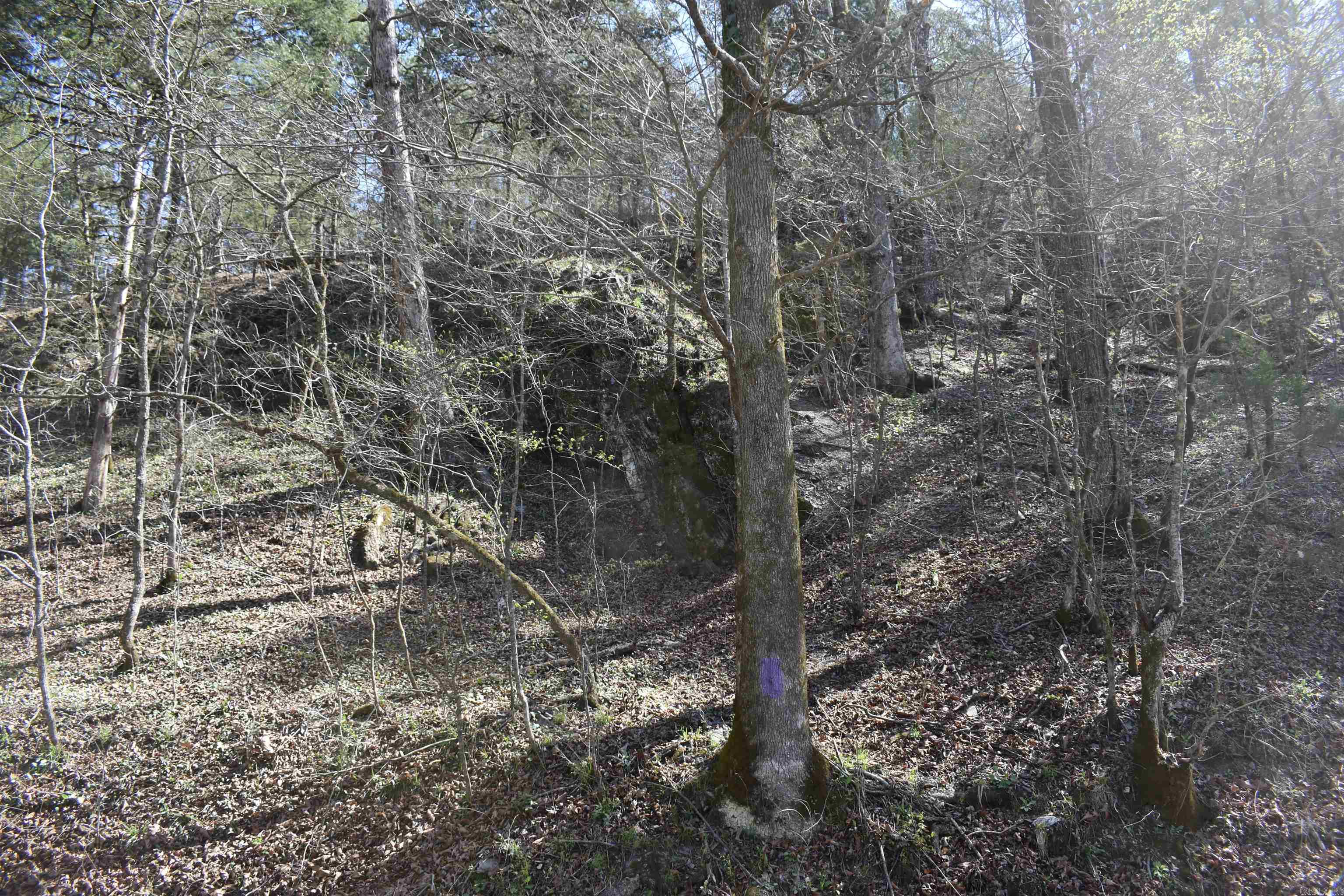 0000 Old Dallas Road  Norman, AR