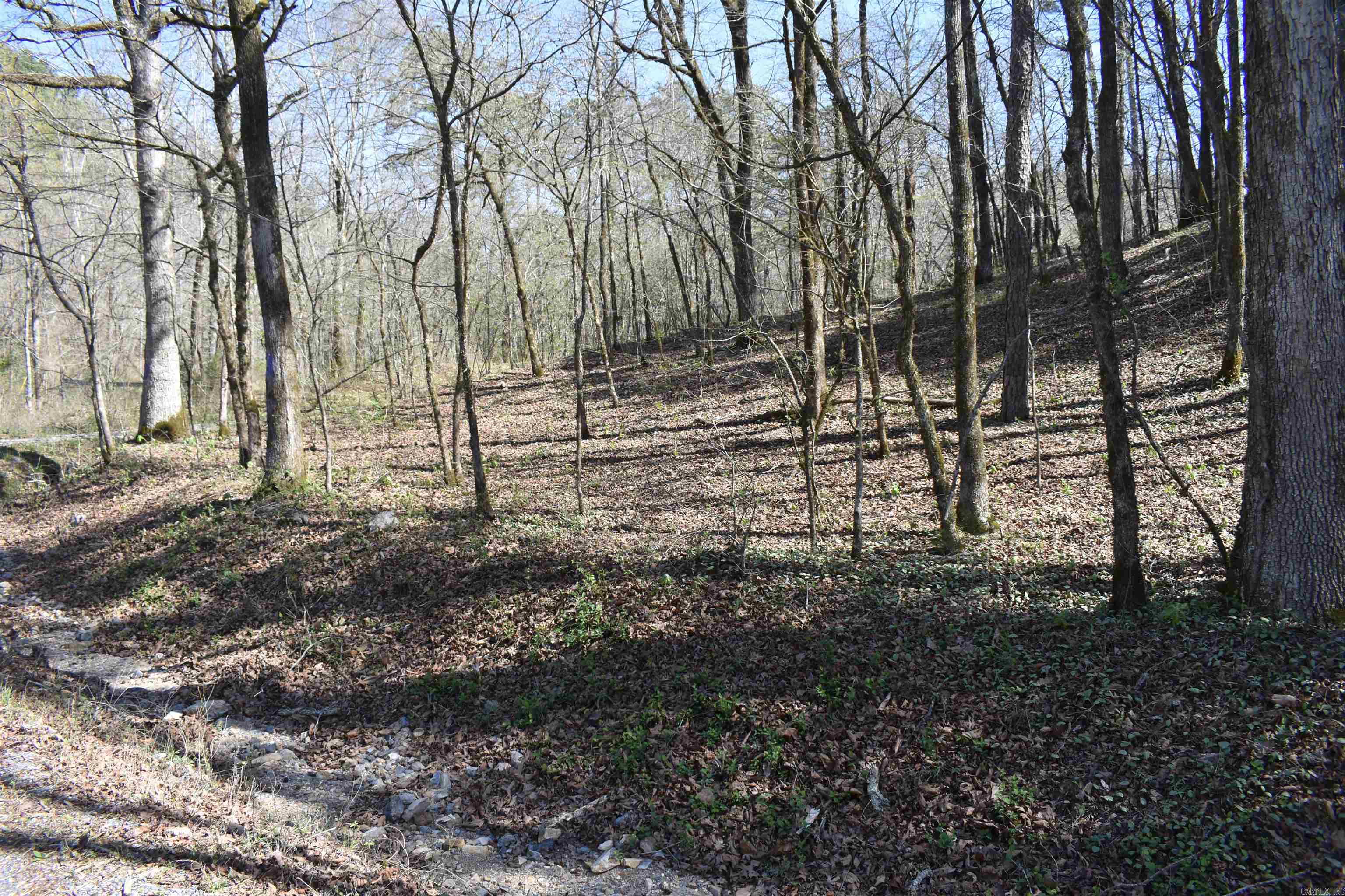 0000 Old Dallas Road  Norman, AR