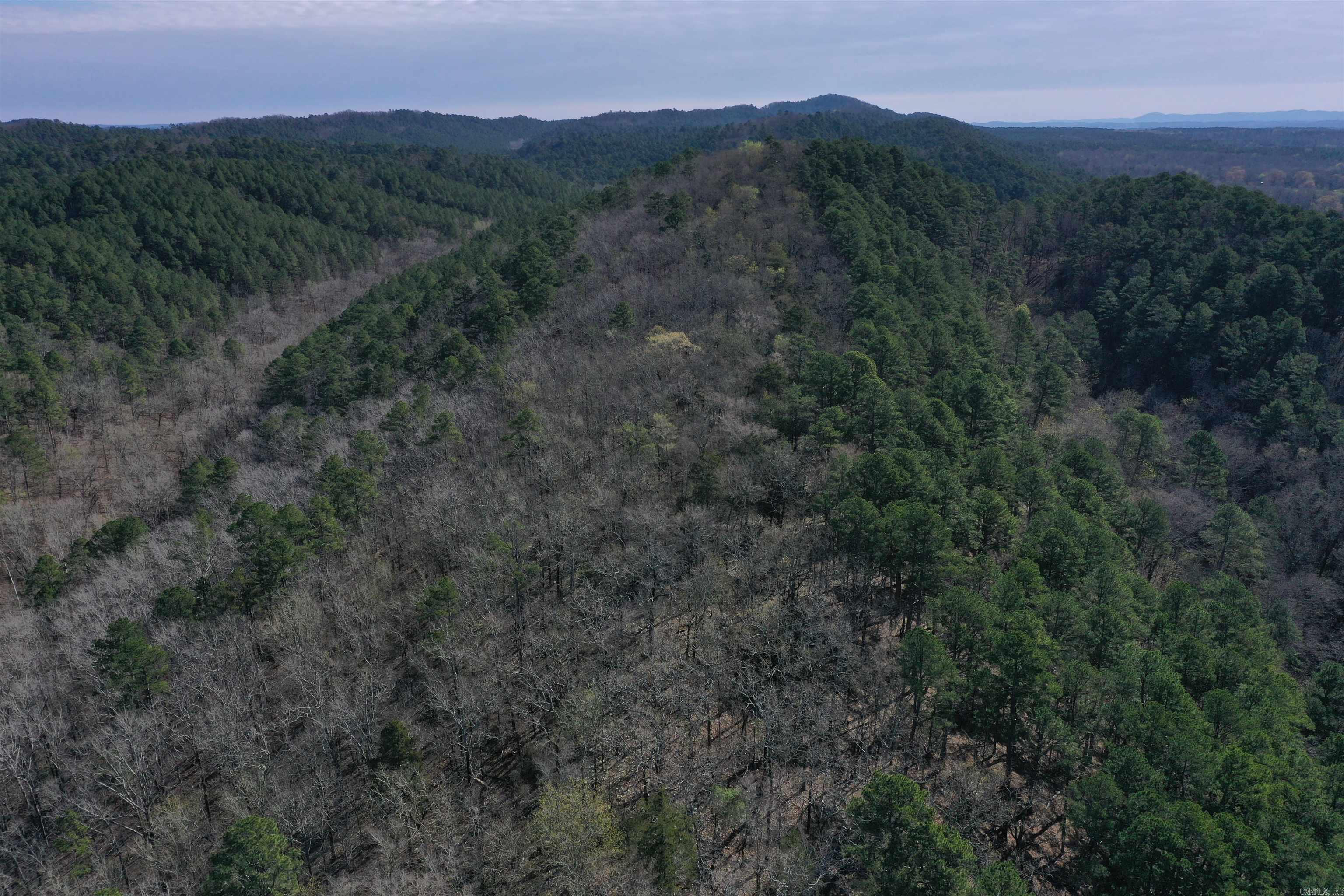 0000 Old Dallas Road  Norman, AR