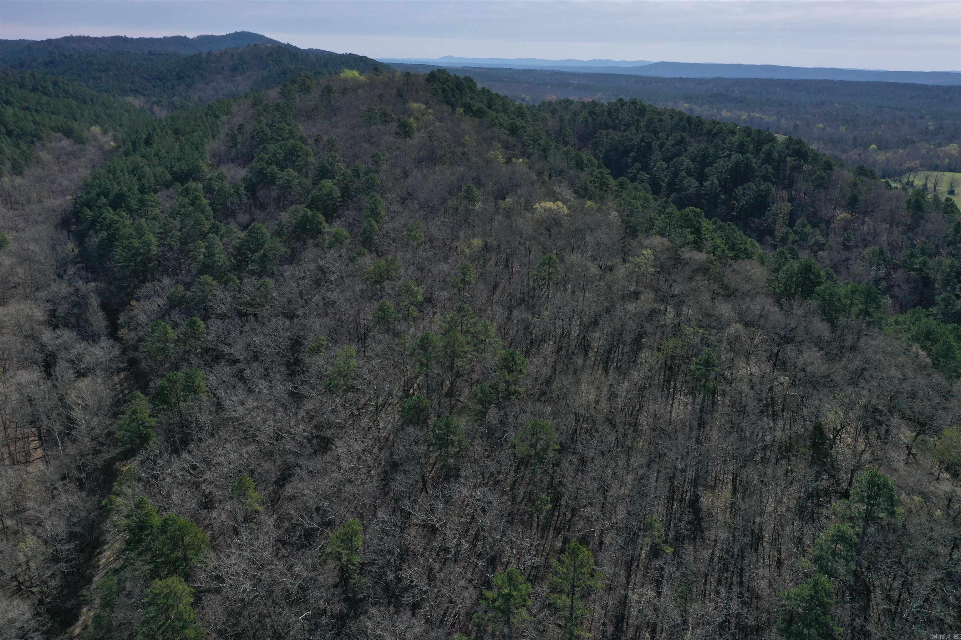 0000 Old Dallas Road  Norman, AR