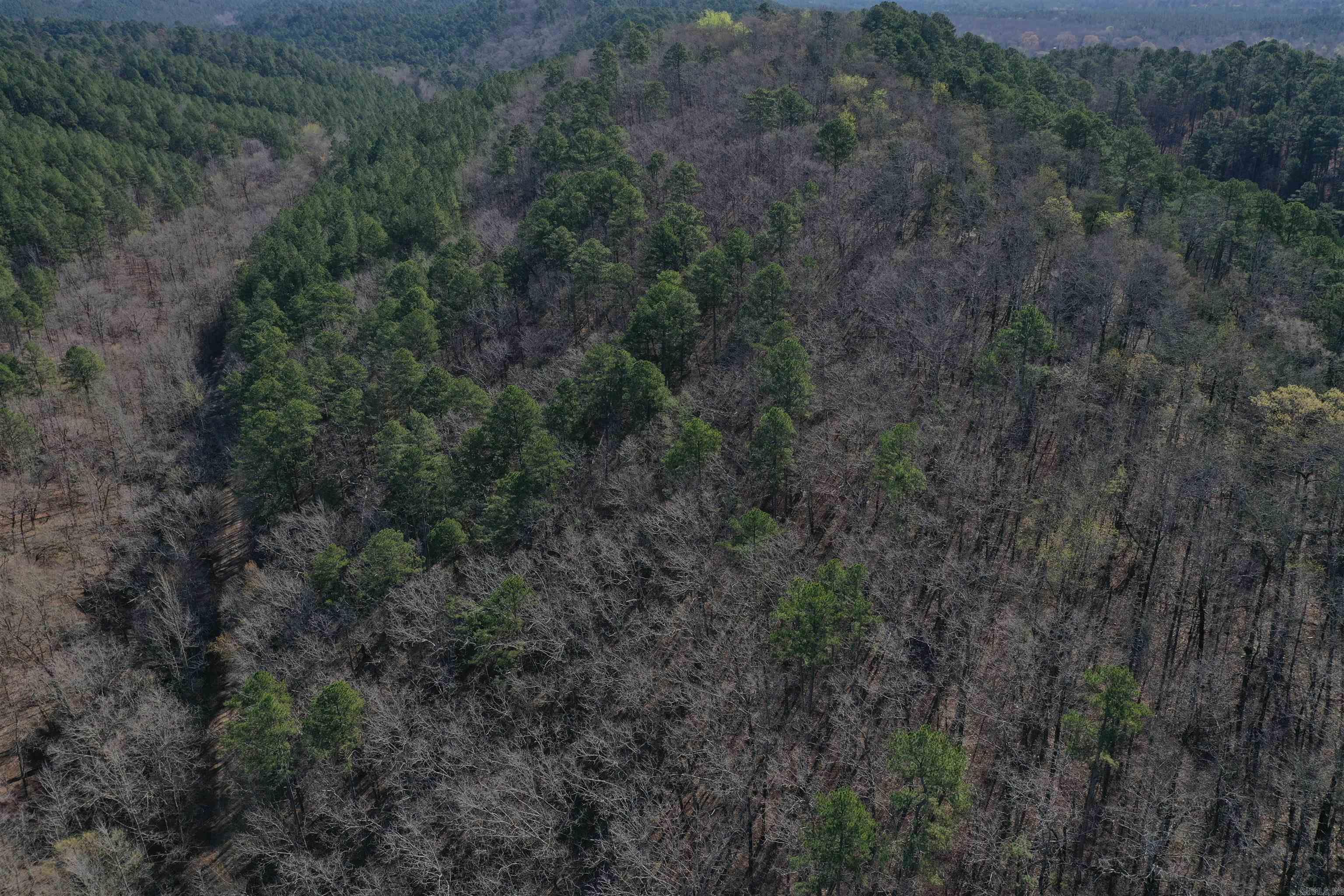 0000 Old Dallas Road  Norman, AR