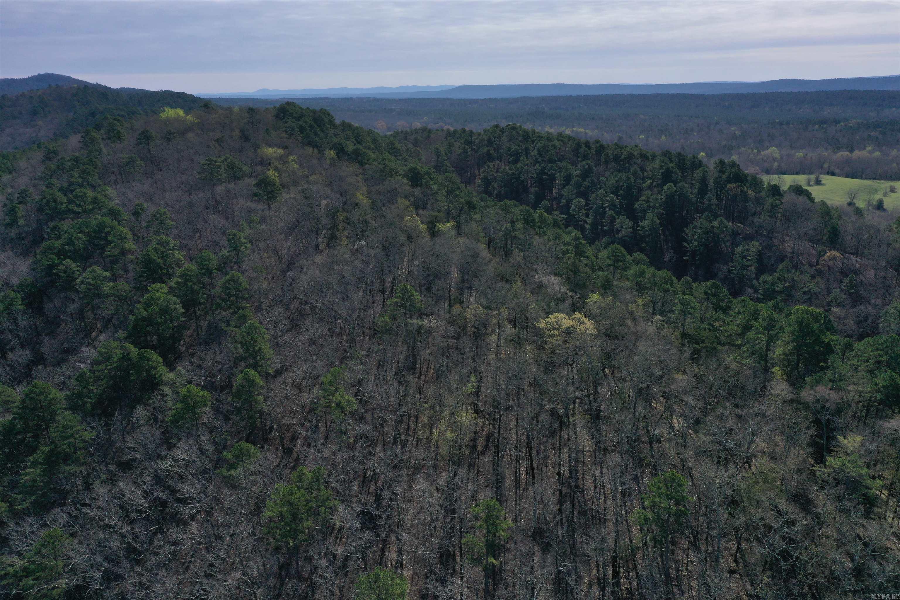 0000 Old Dallas Road  Norman, AR