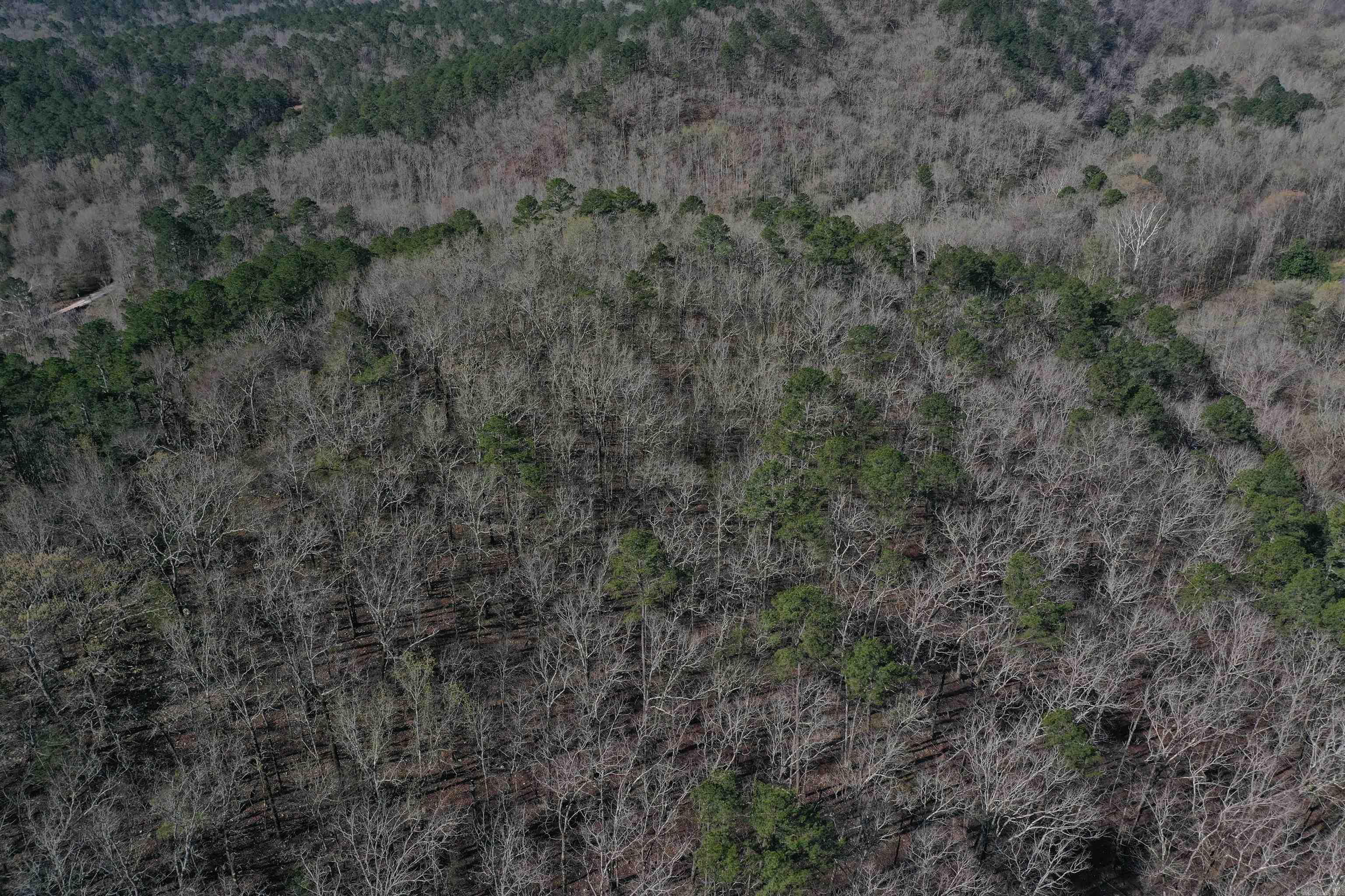 0000 Old Dallas Road  Norman, AR