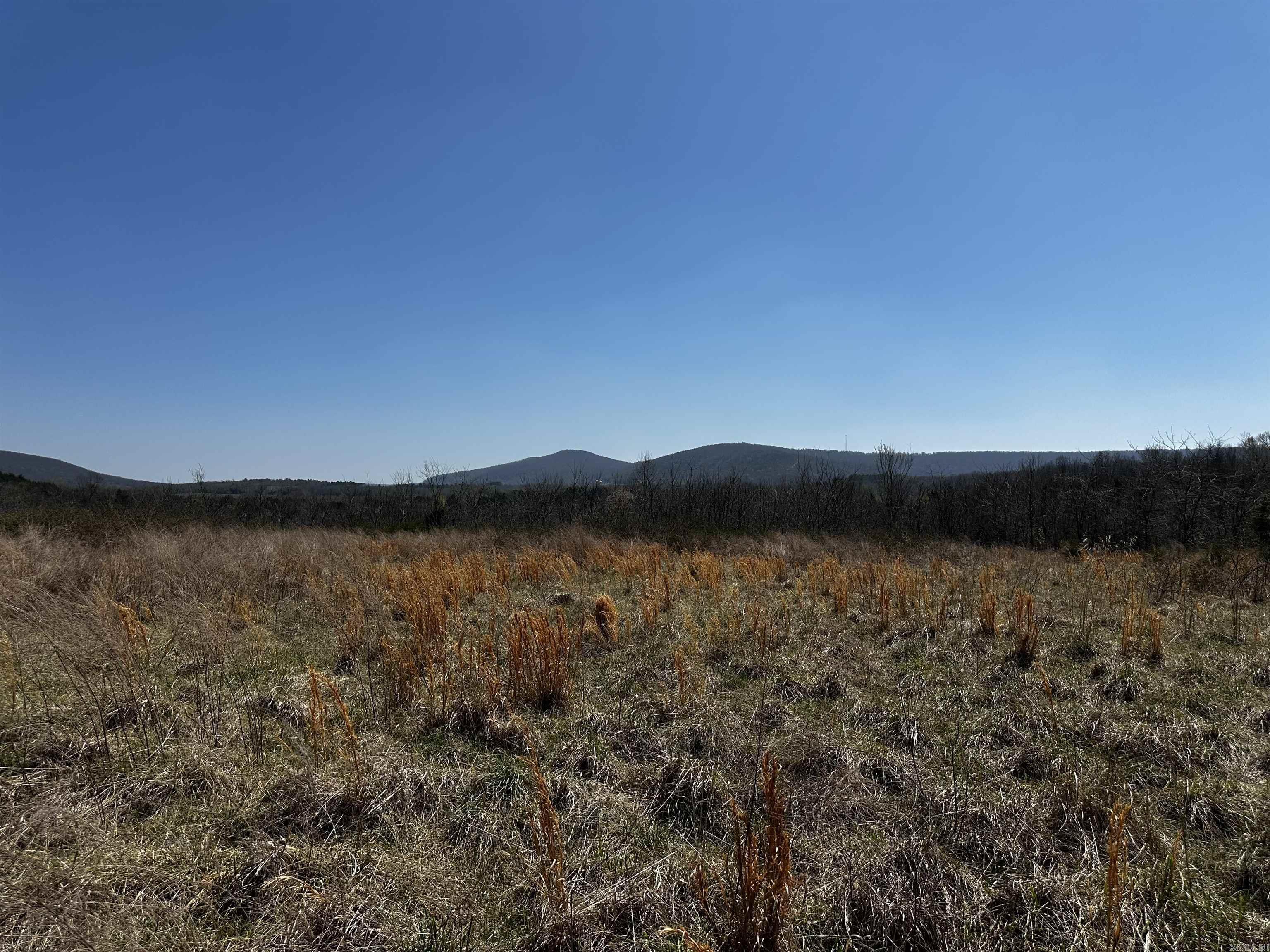 000 Horton Hill  Alco, AR