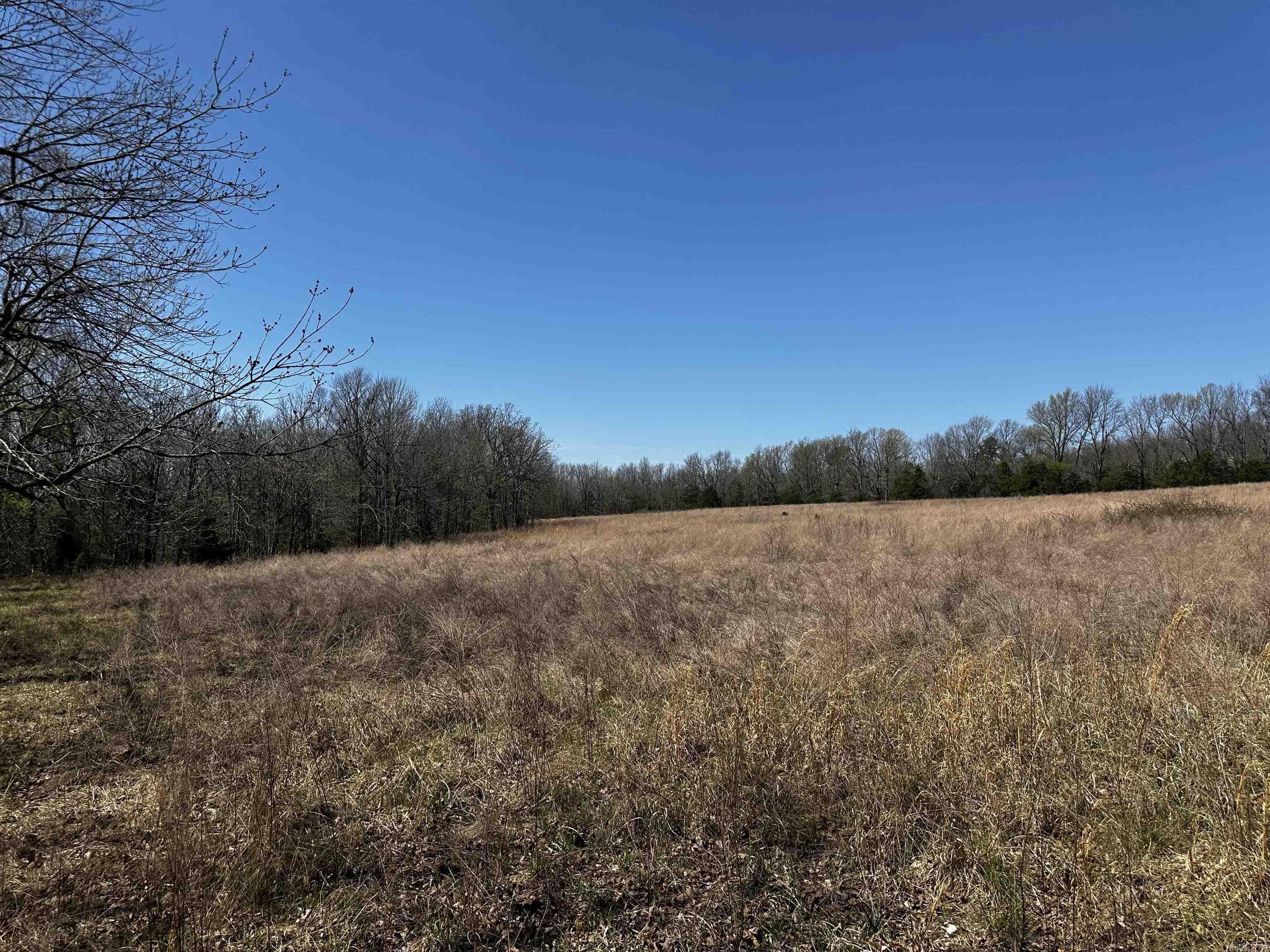 000 Horton Hill  Alco, AR