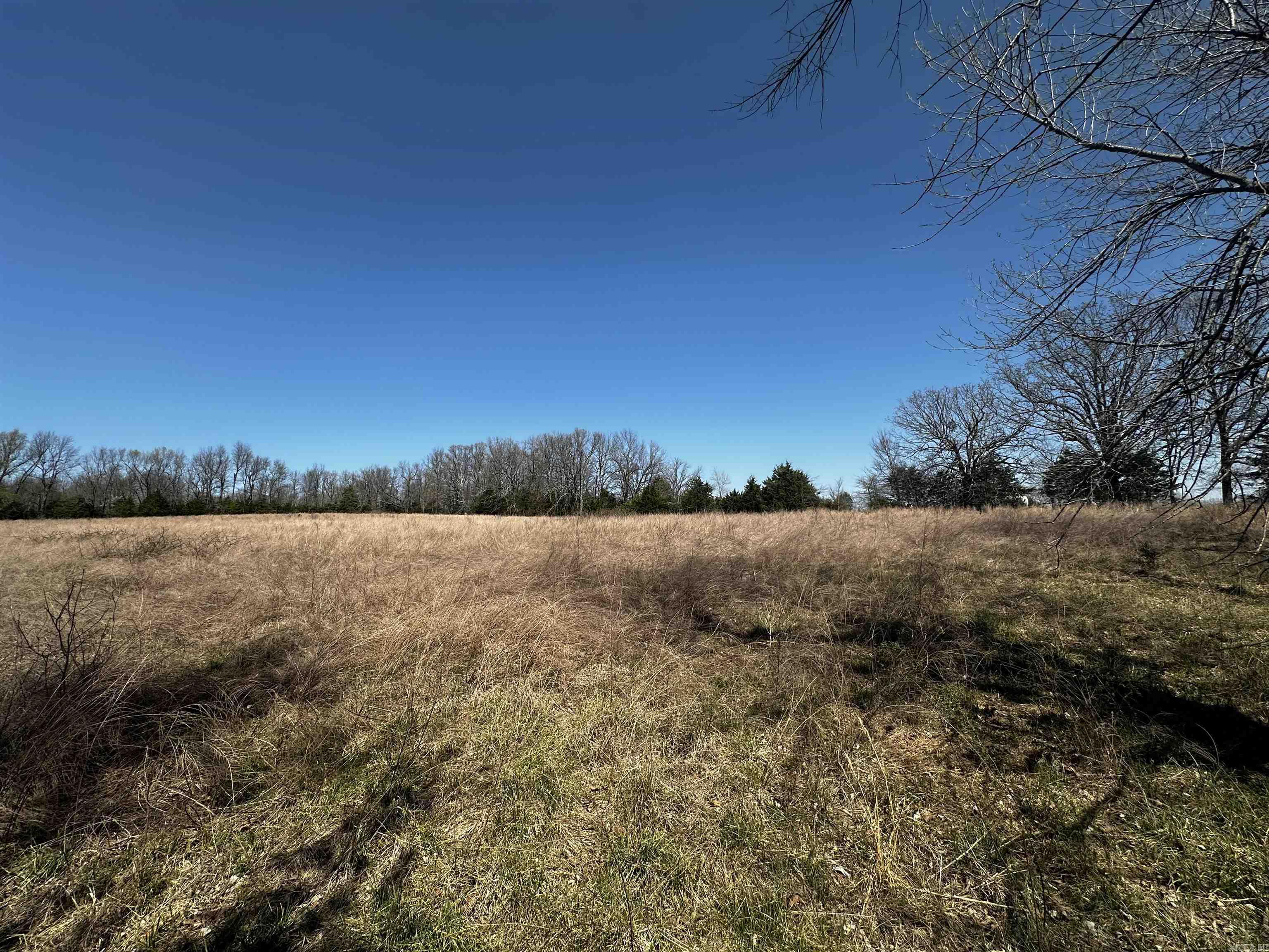 000 Horton Hill  Alco, AR