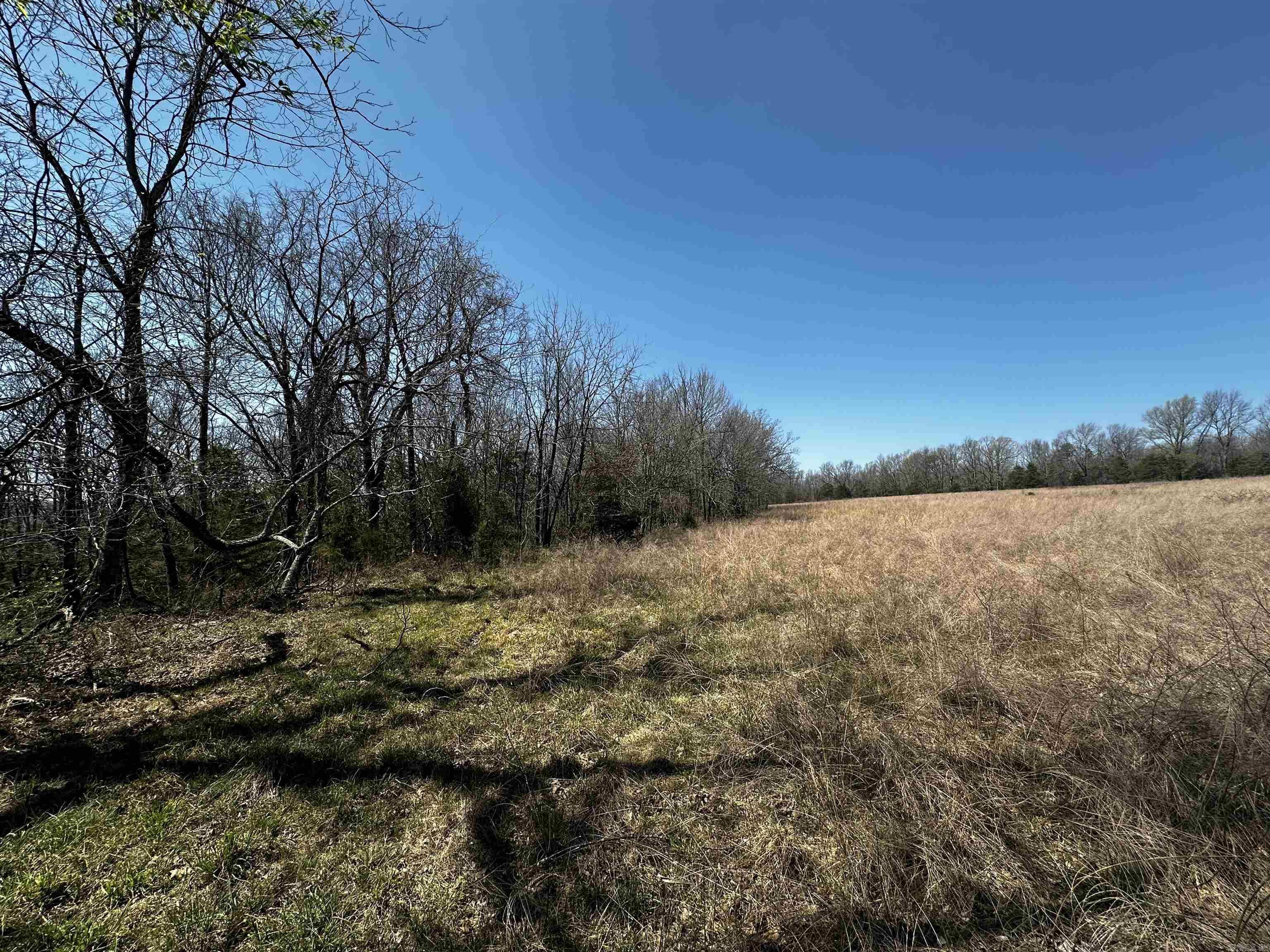 000 Horton Hill  Alco, AR