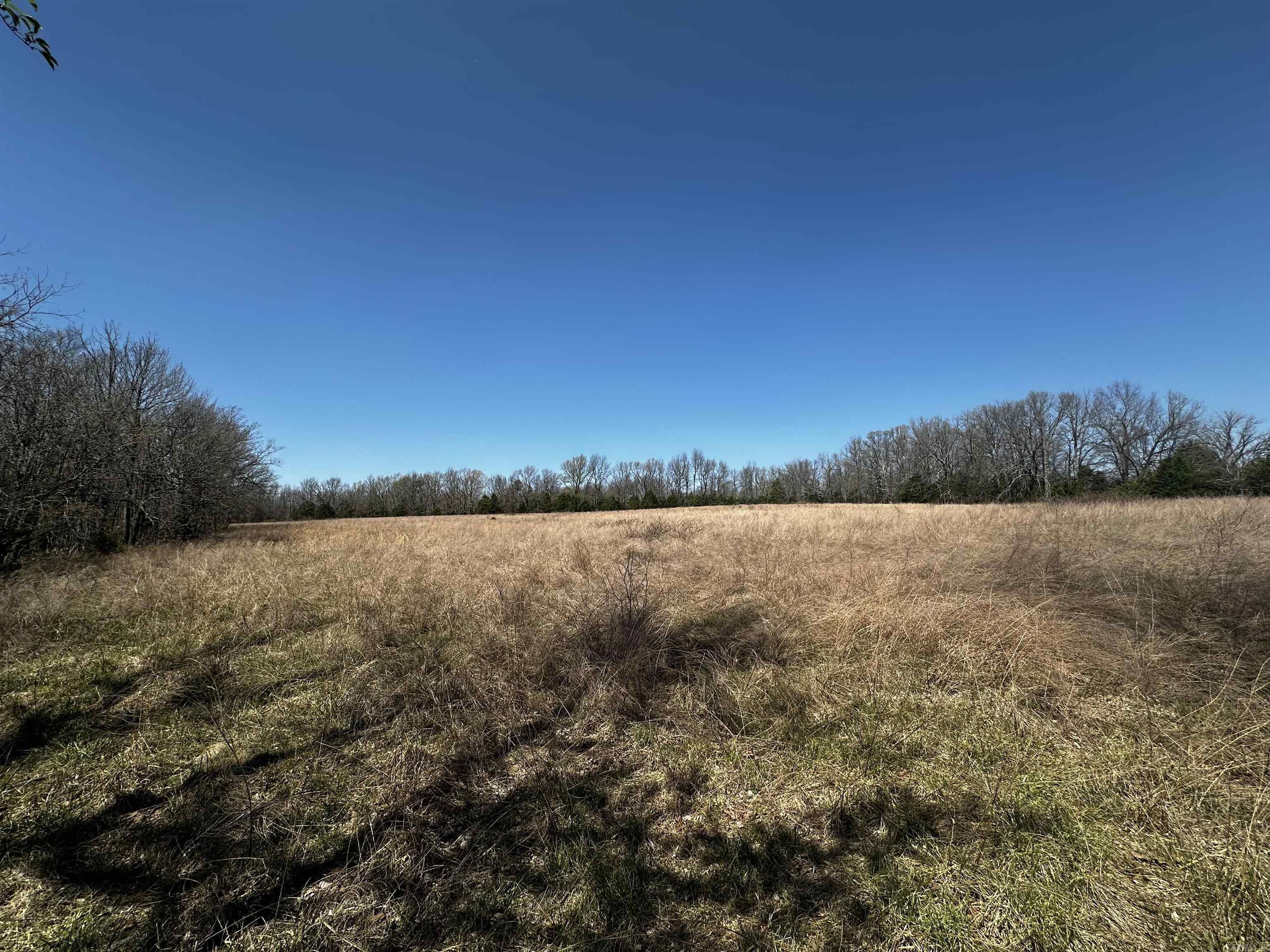 000 Horton Hill  Alco, AR