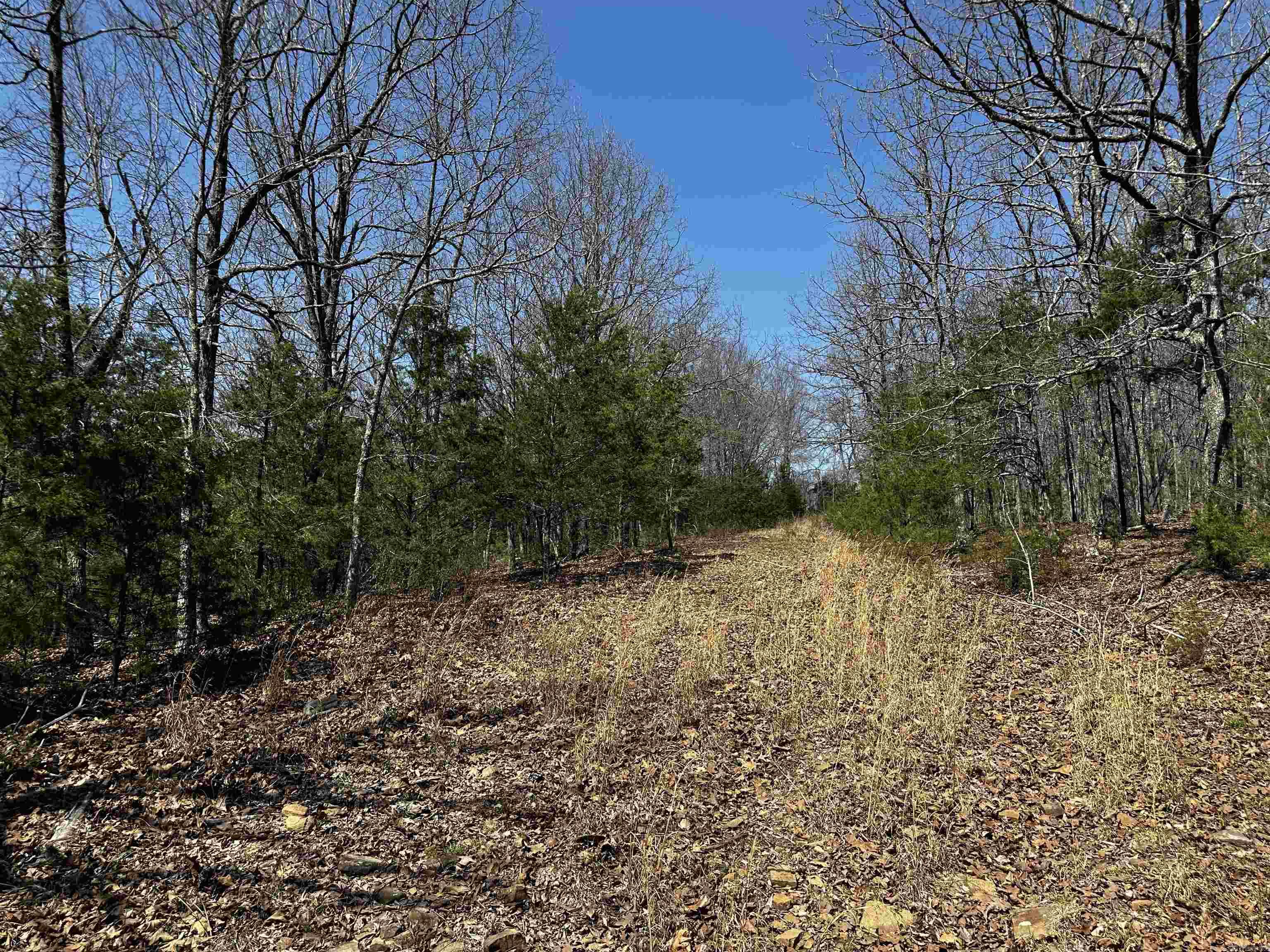 000 Horton Hill  Alco, AR