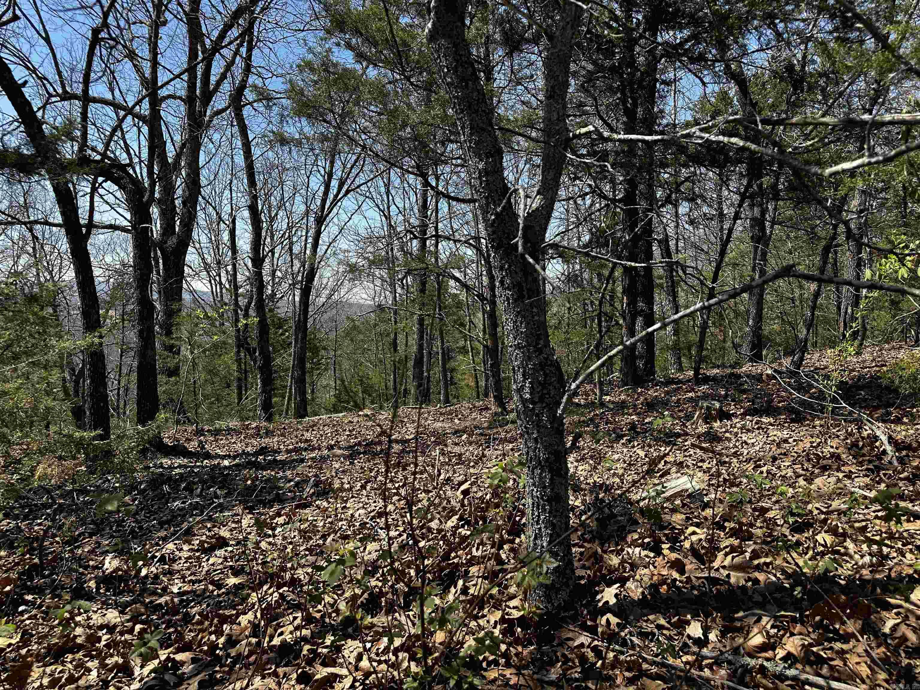 000 Horton Hill  Alco, AR