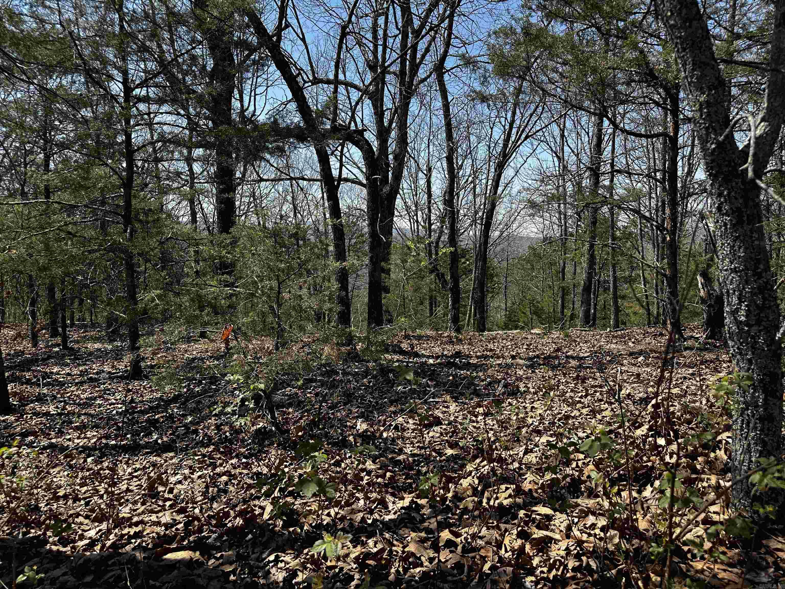 000 Horton Hill  Alco, AR