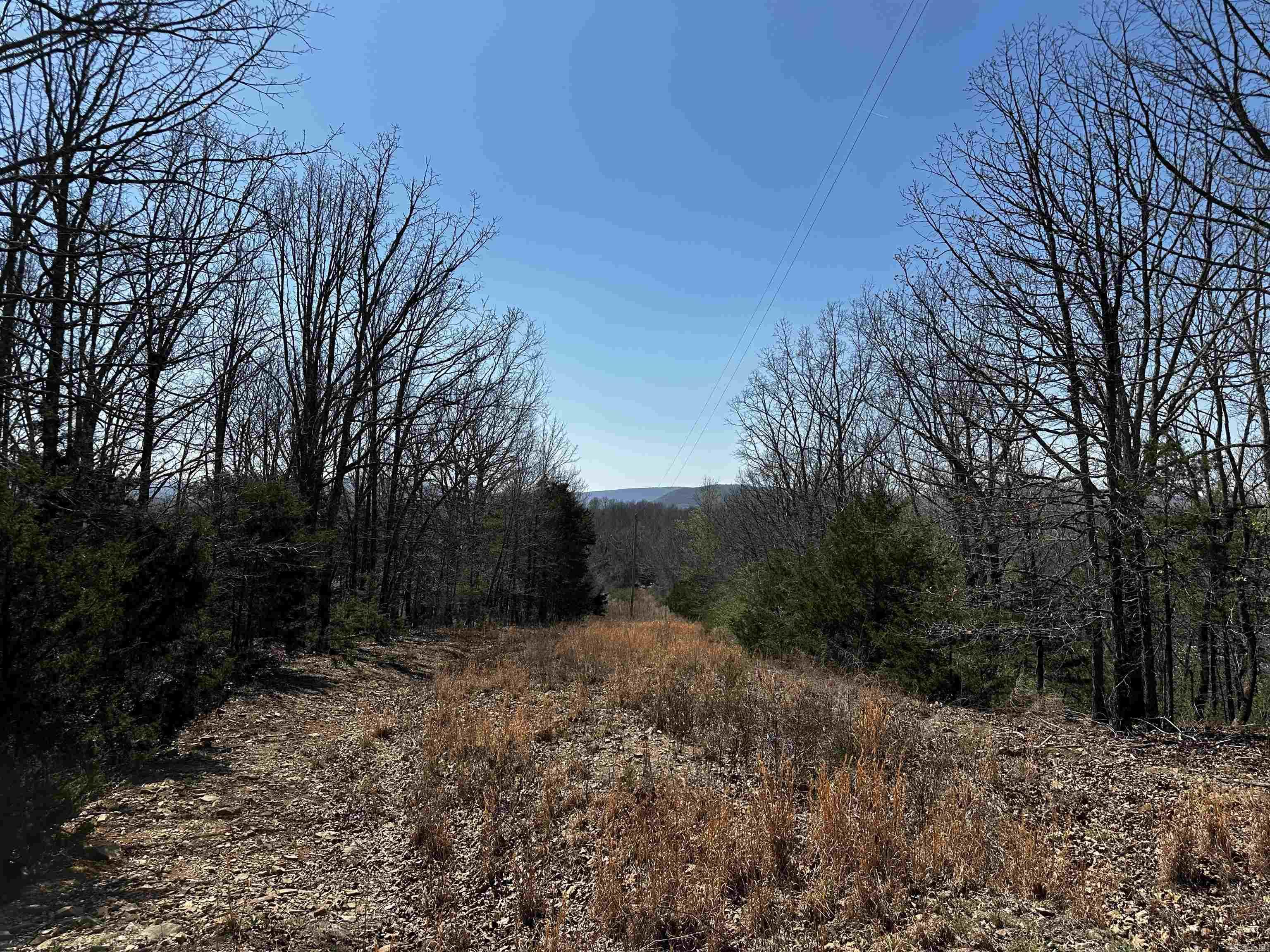 000 Horton Hill  Alco, AR