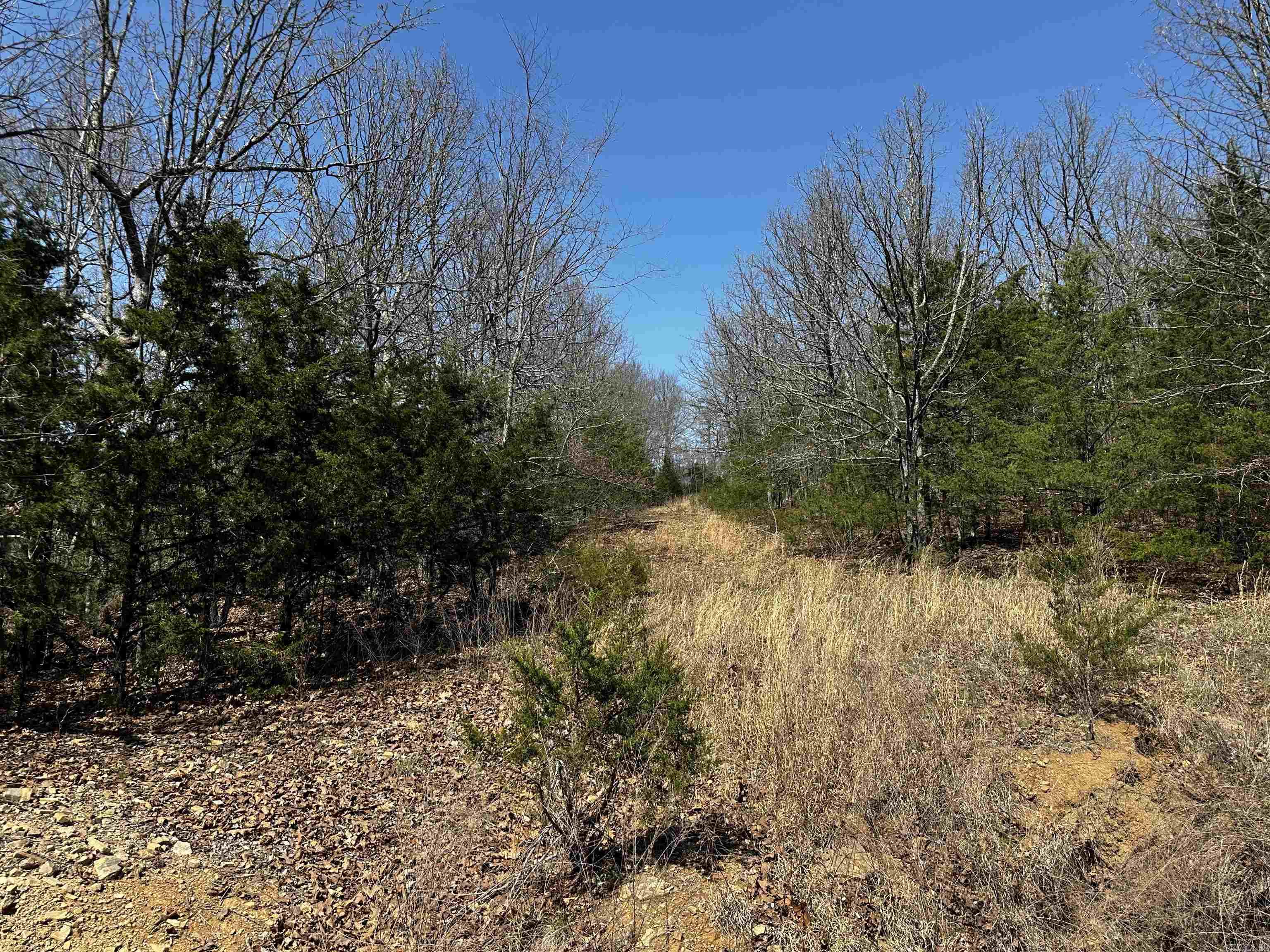 000 Horton Hill  Alco, AR