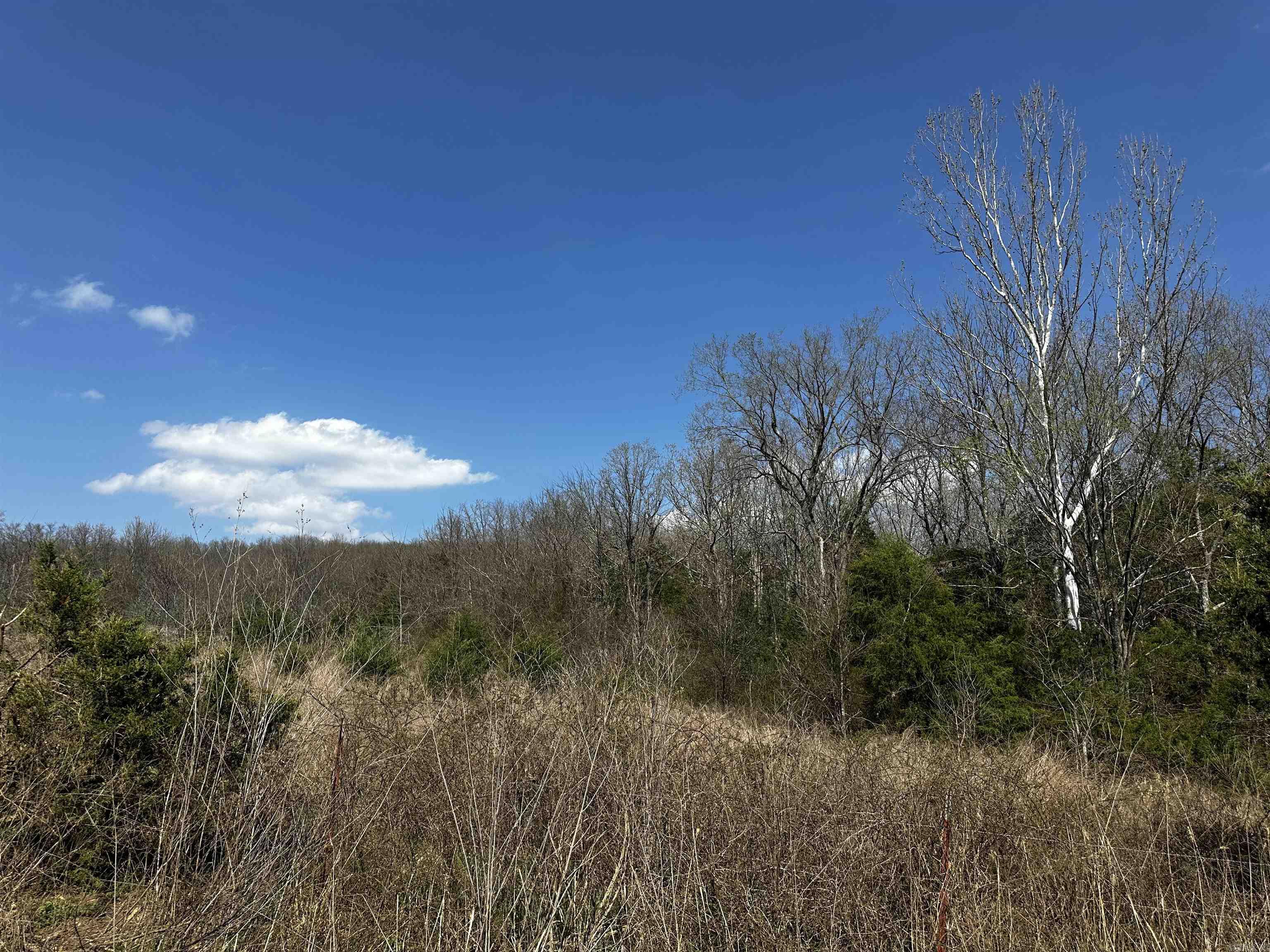 000 Horton Hill  Alco, AR