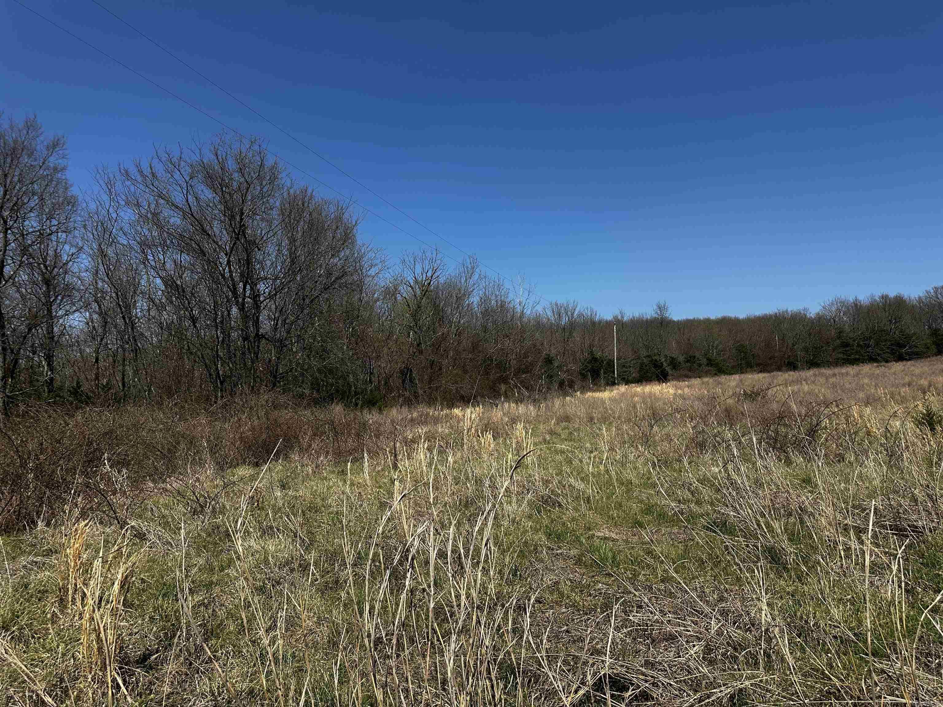 000 Horton Hill  Alco, AR