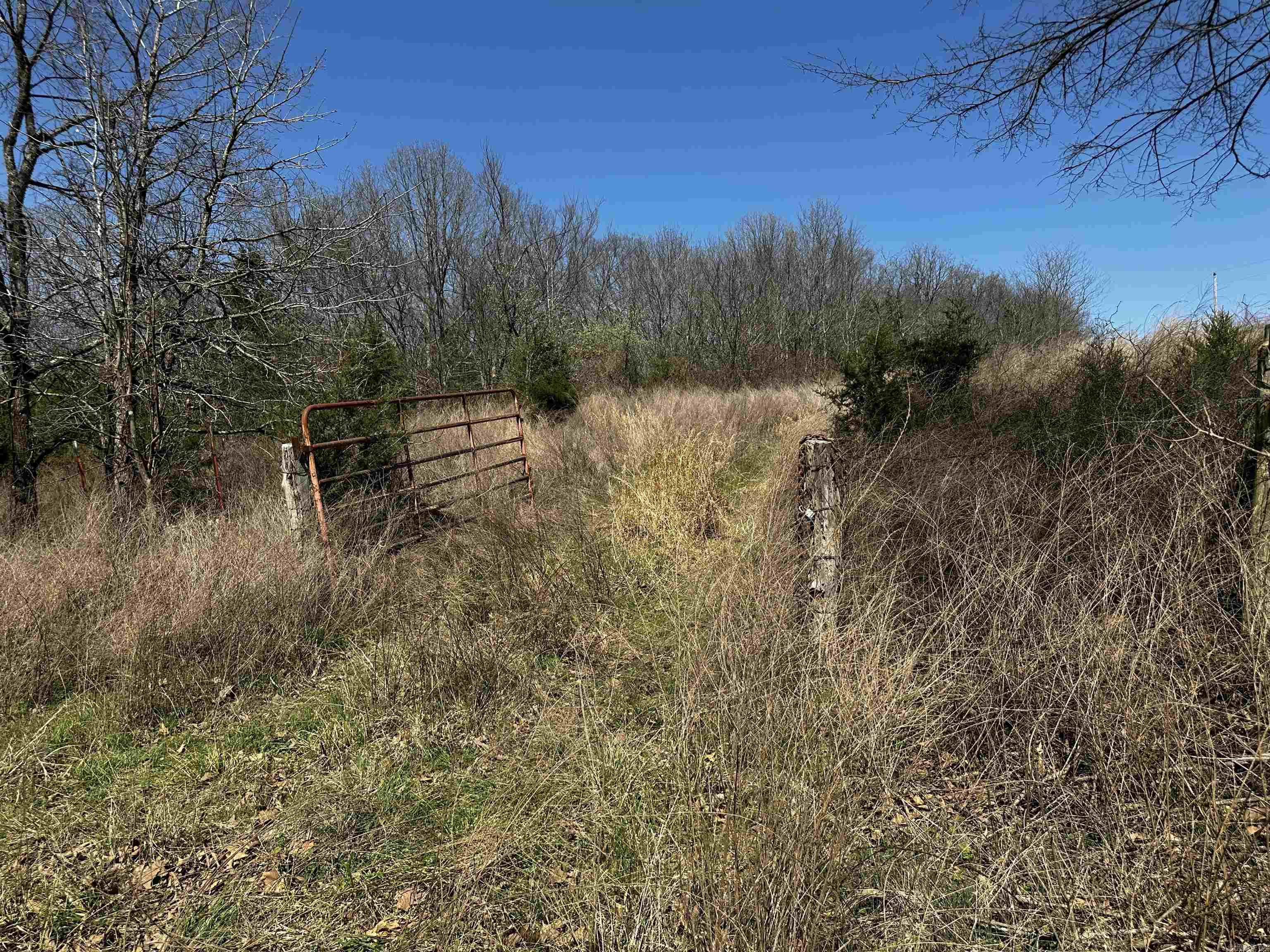 000 Horton Hill  Alco, AR