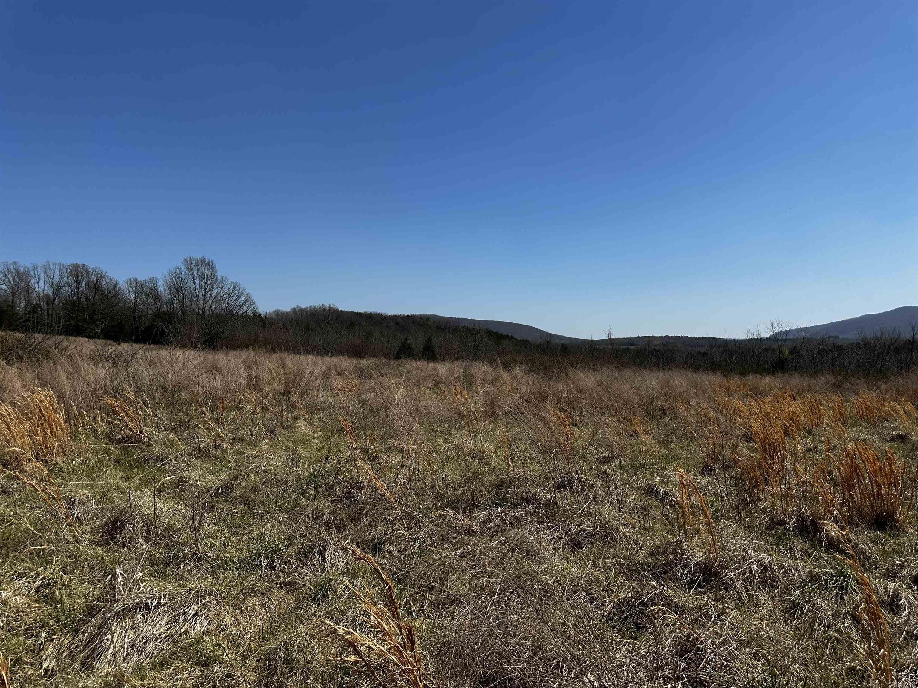 000 Horton Hill  Alco, AR