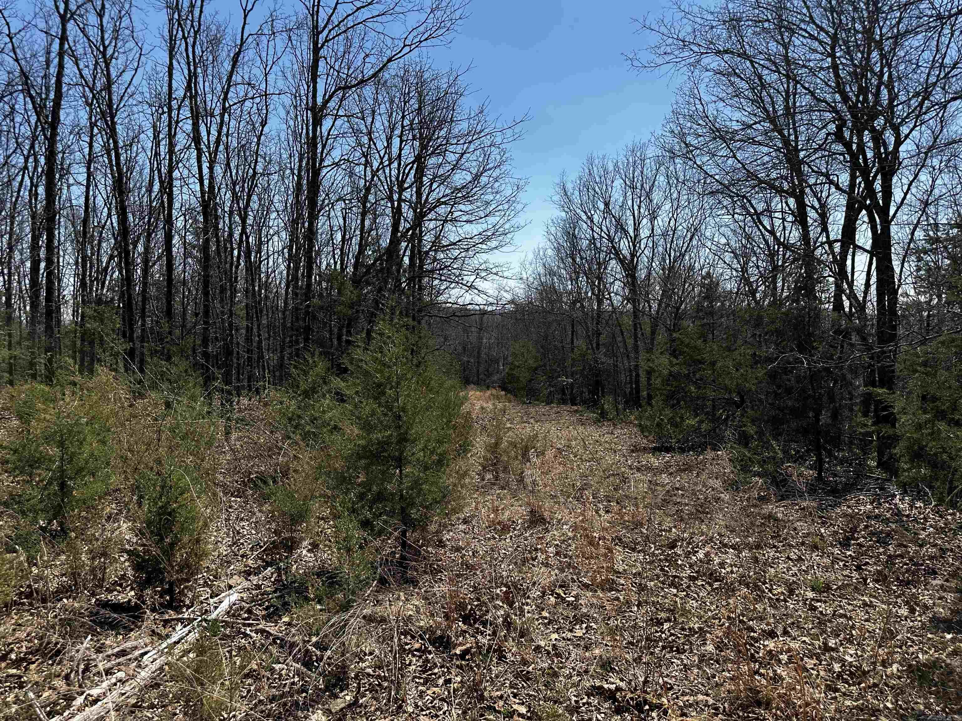 000 Horton Hill  Alco, AR