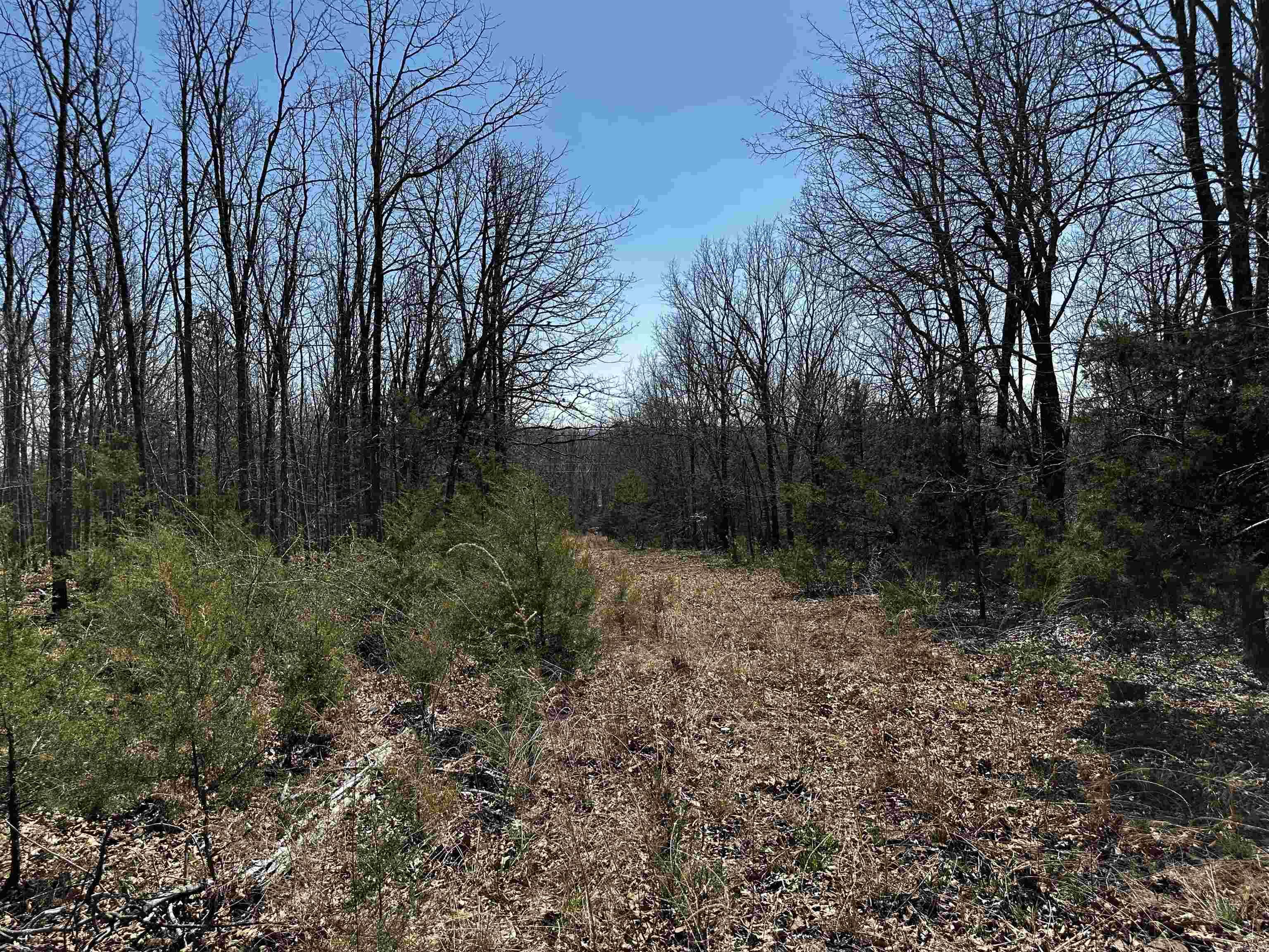 000 Horton Hill  Alco, AR