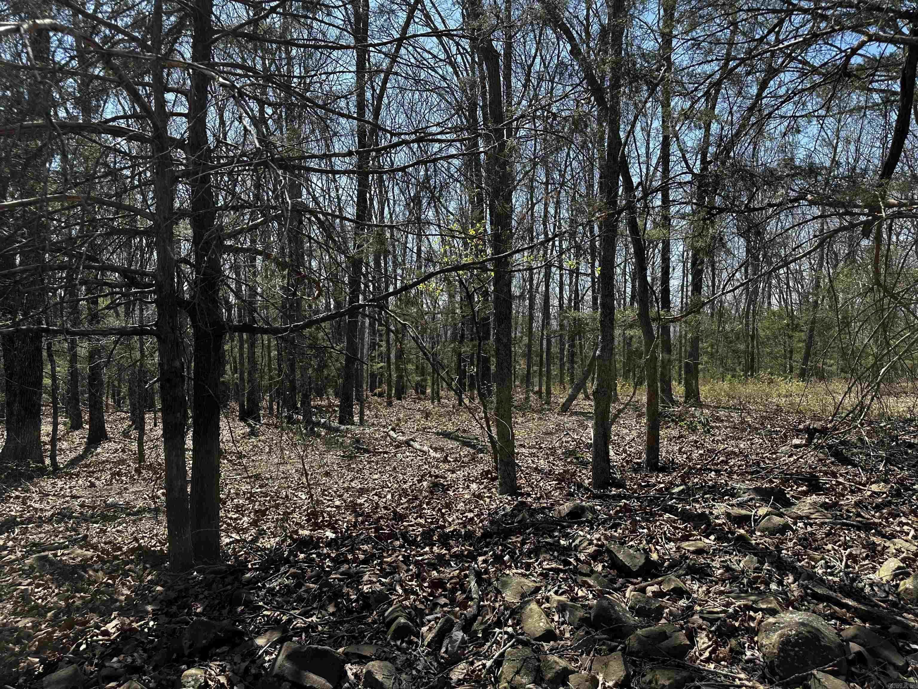 000 Horton Hill  Alco, AR