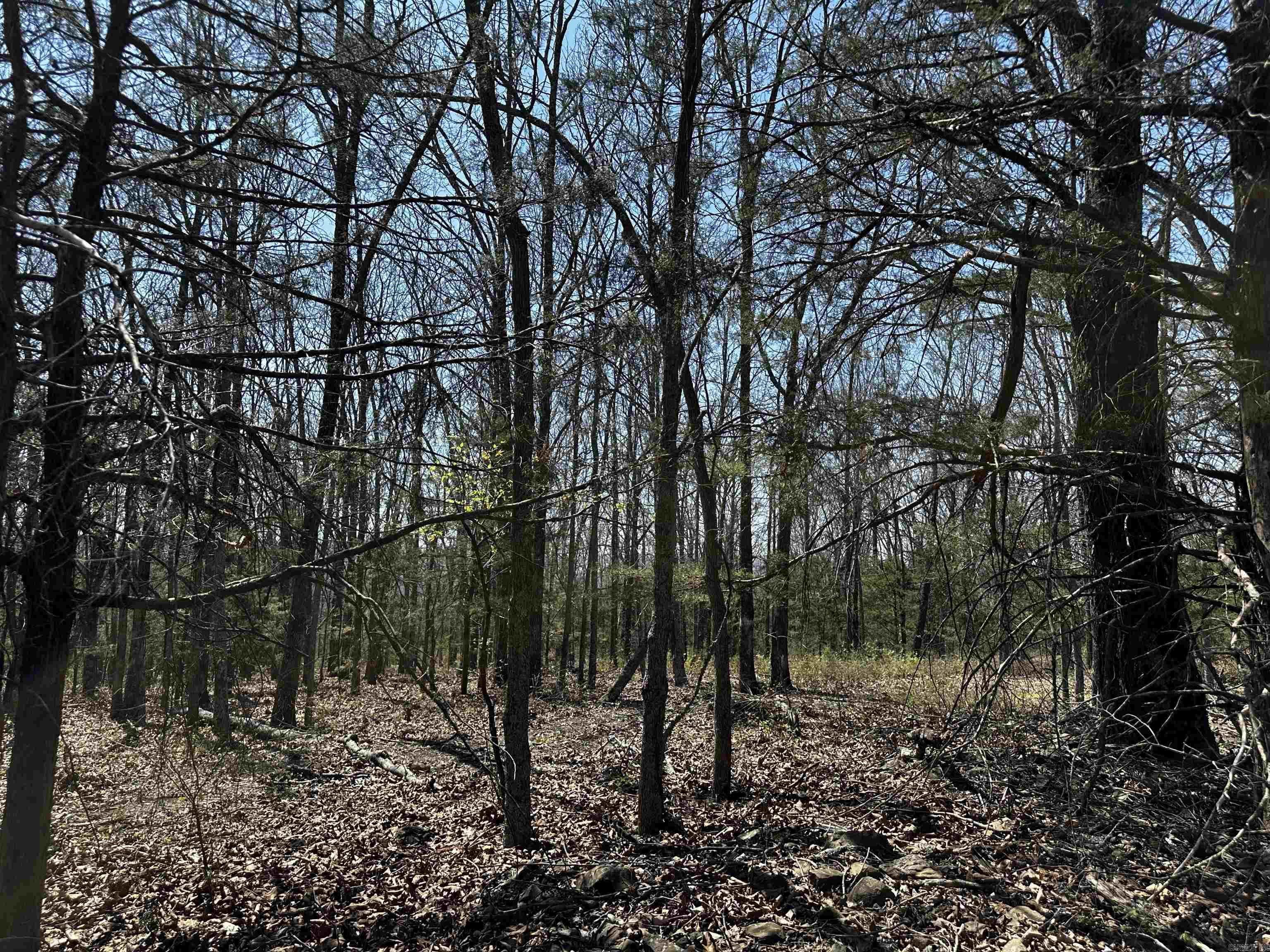 000 Horton Hill  Alco, AR