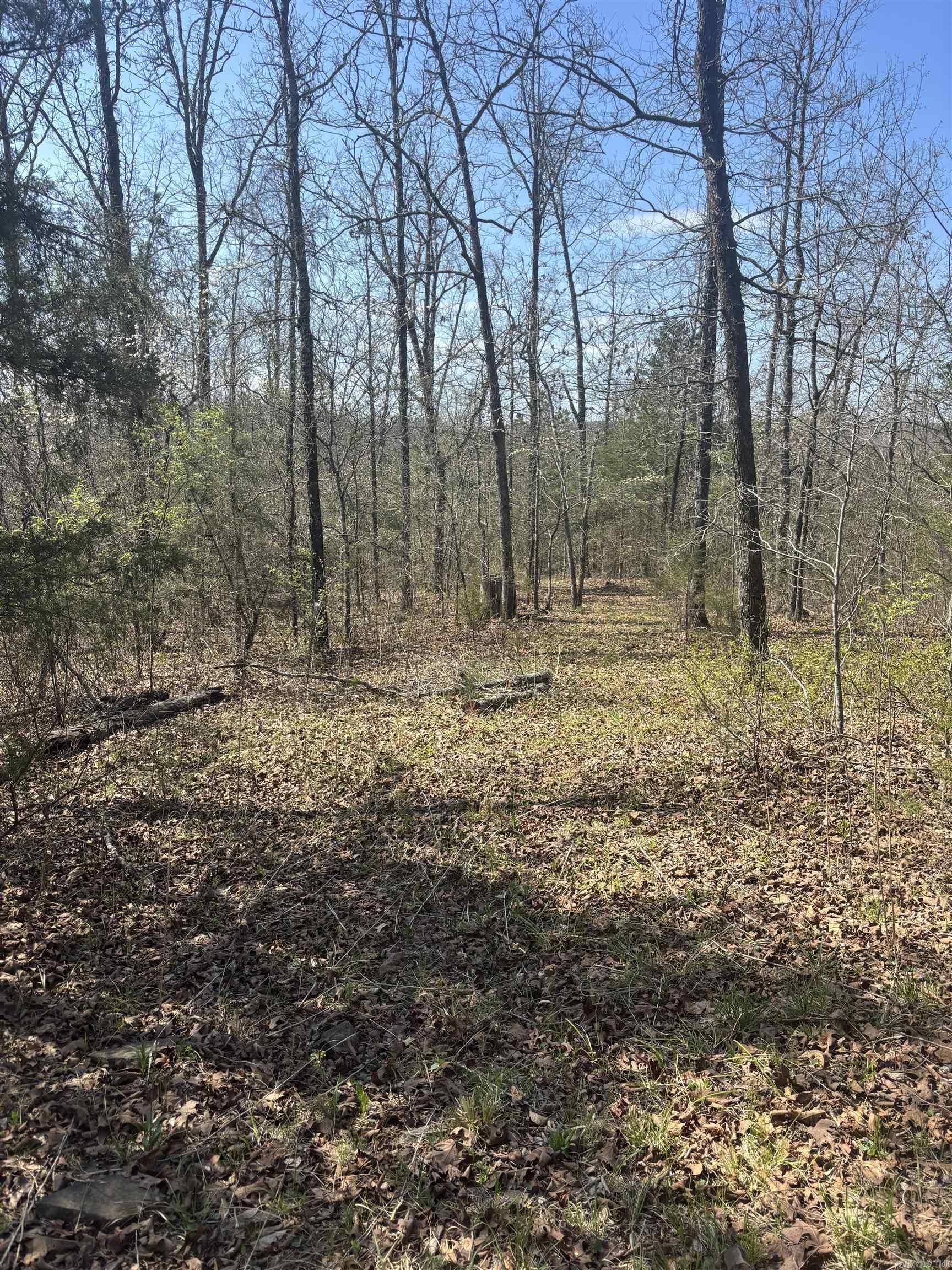 000 SW Bowling Road  Clinton, AR