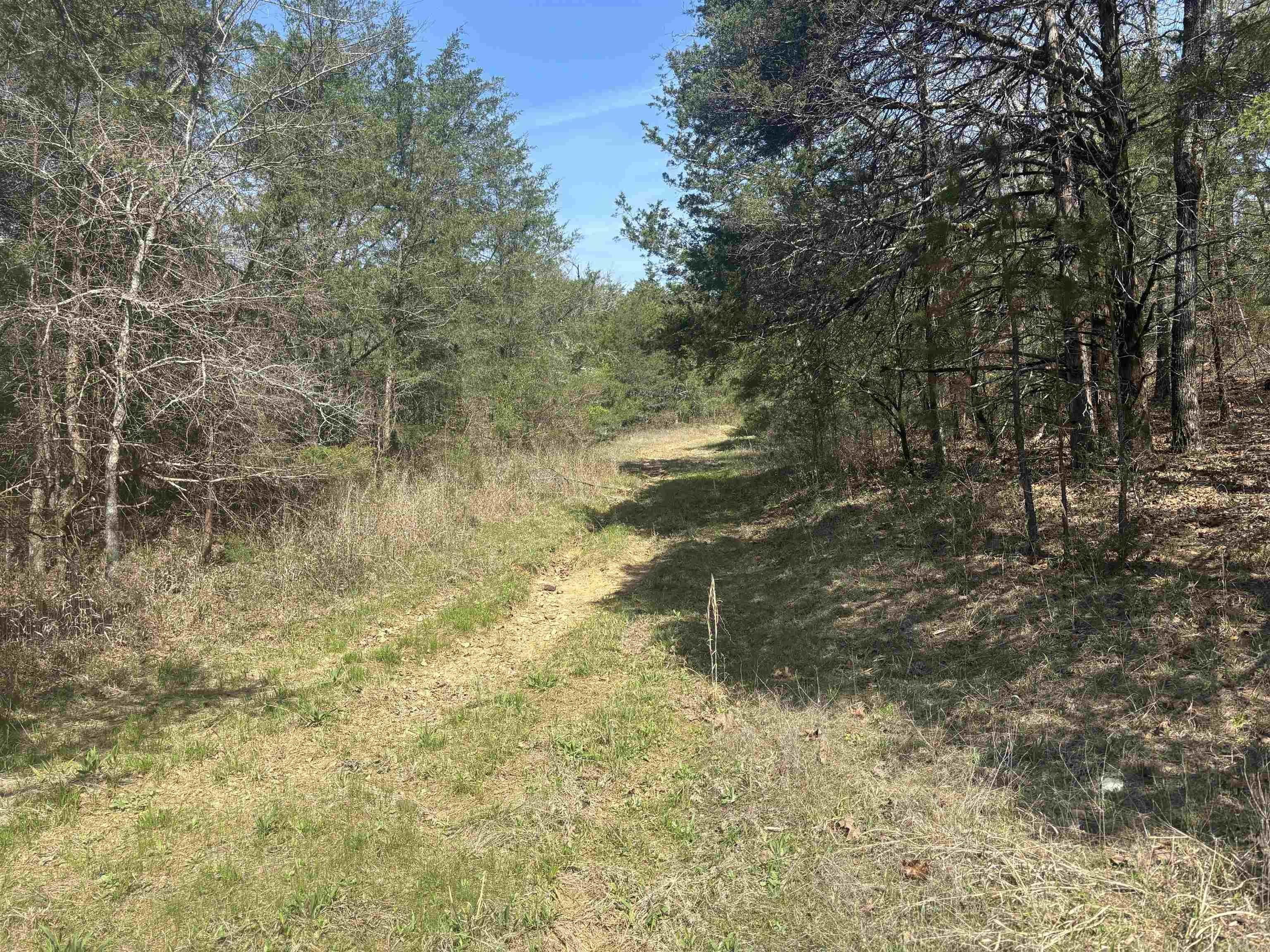 000 SW Bowling Road  Clinton, AR