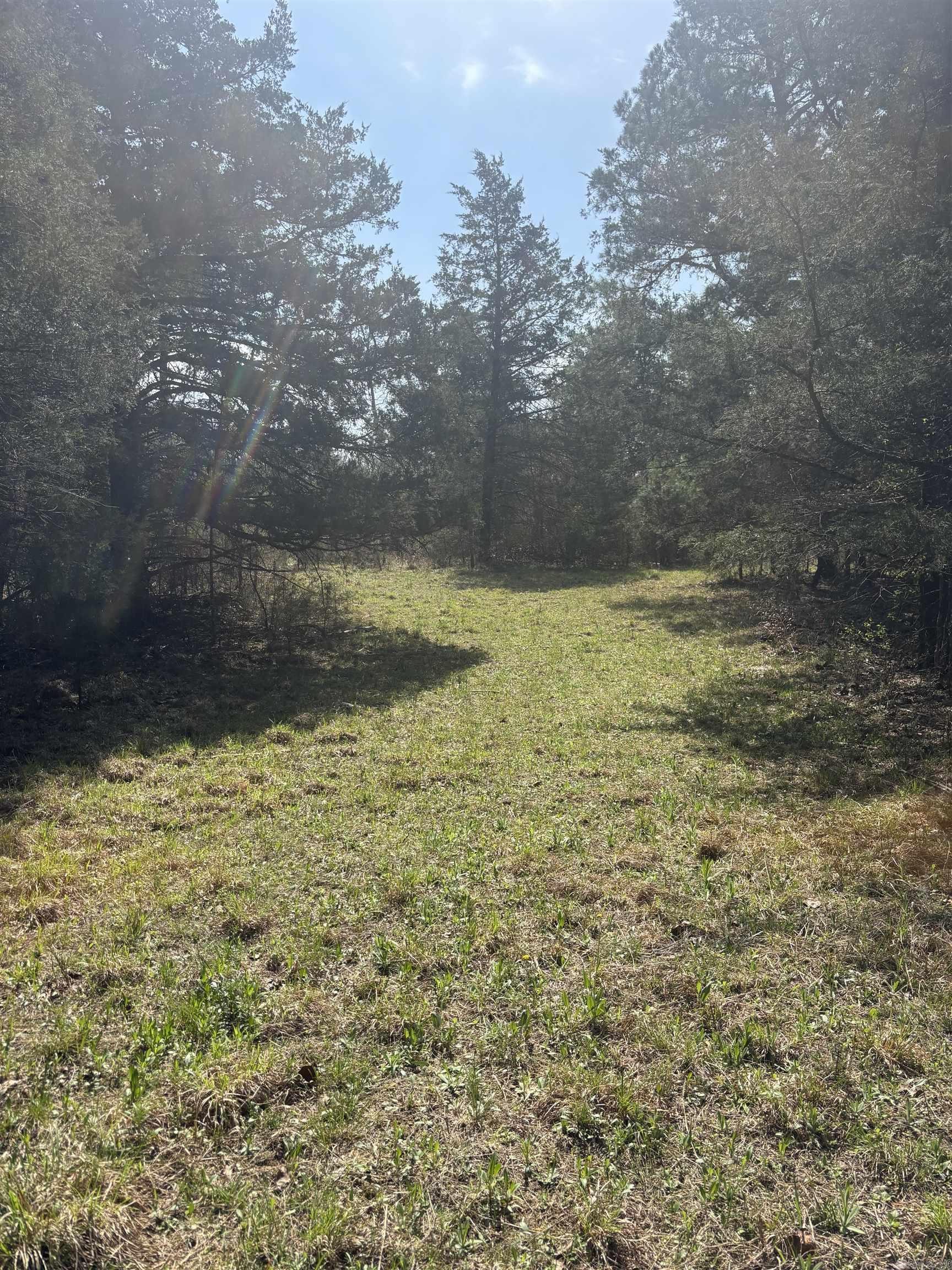 000 SW Bowling Road  Clinton, AR