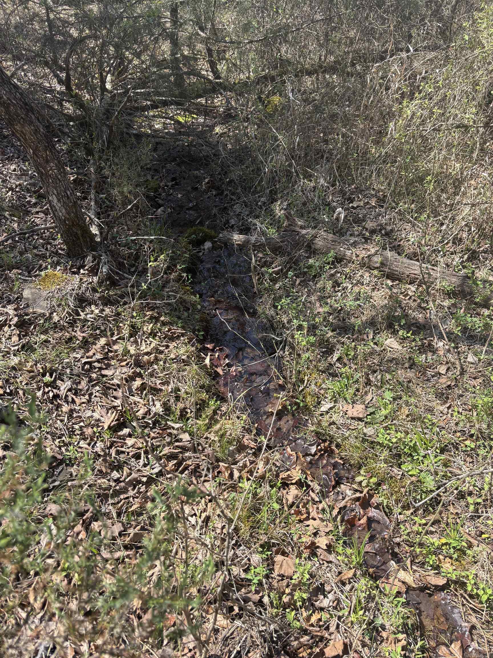 000 SW Bowling Road  Clinton, AR