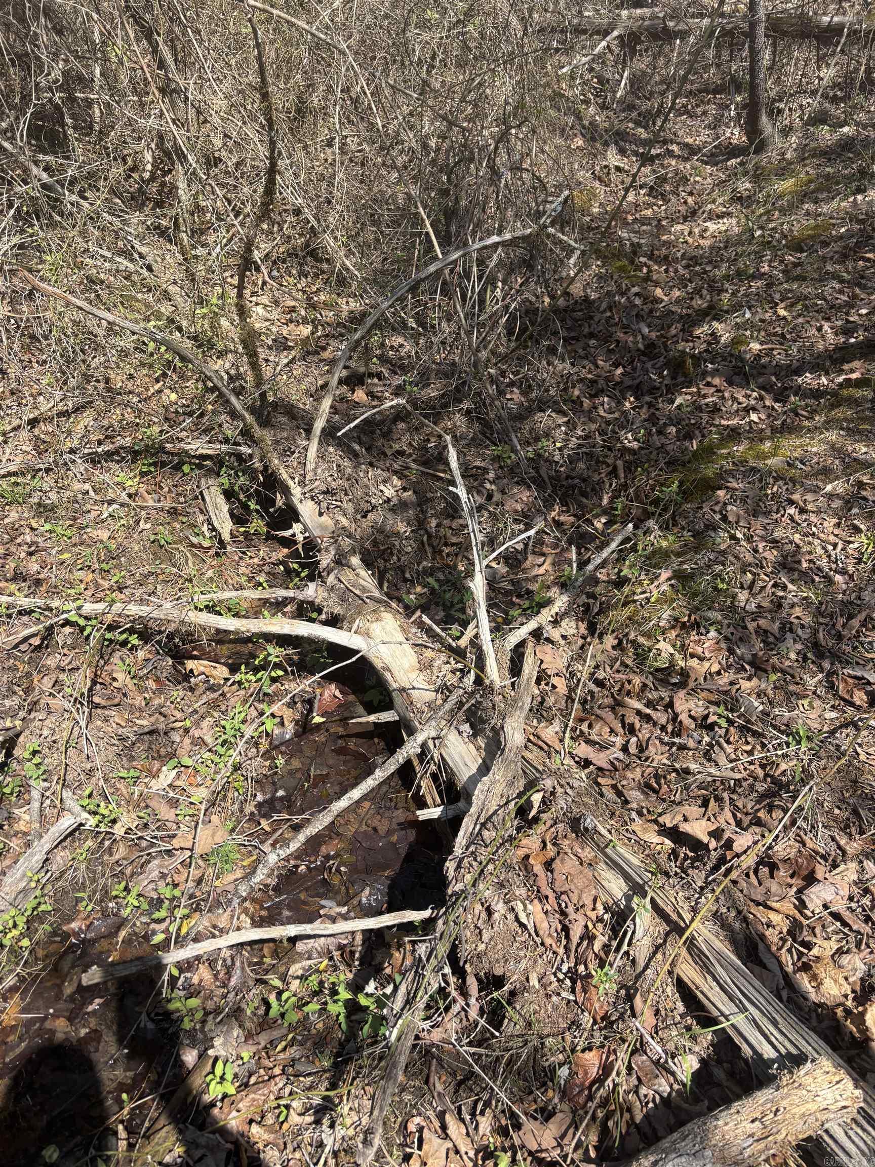 000 SW Bowling Road  Clinton, AR