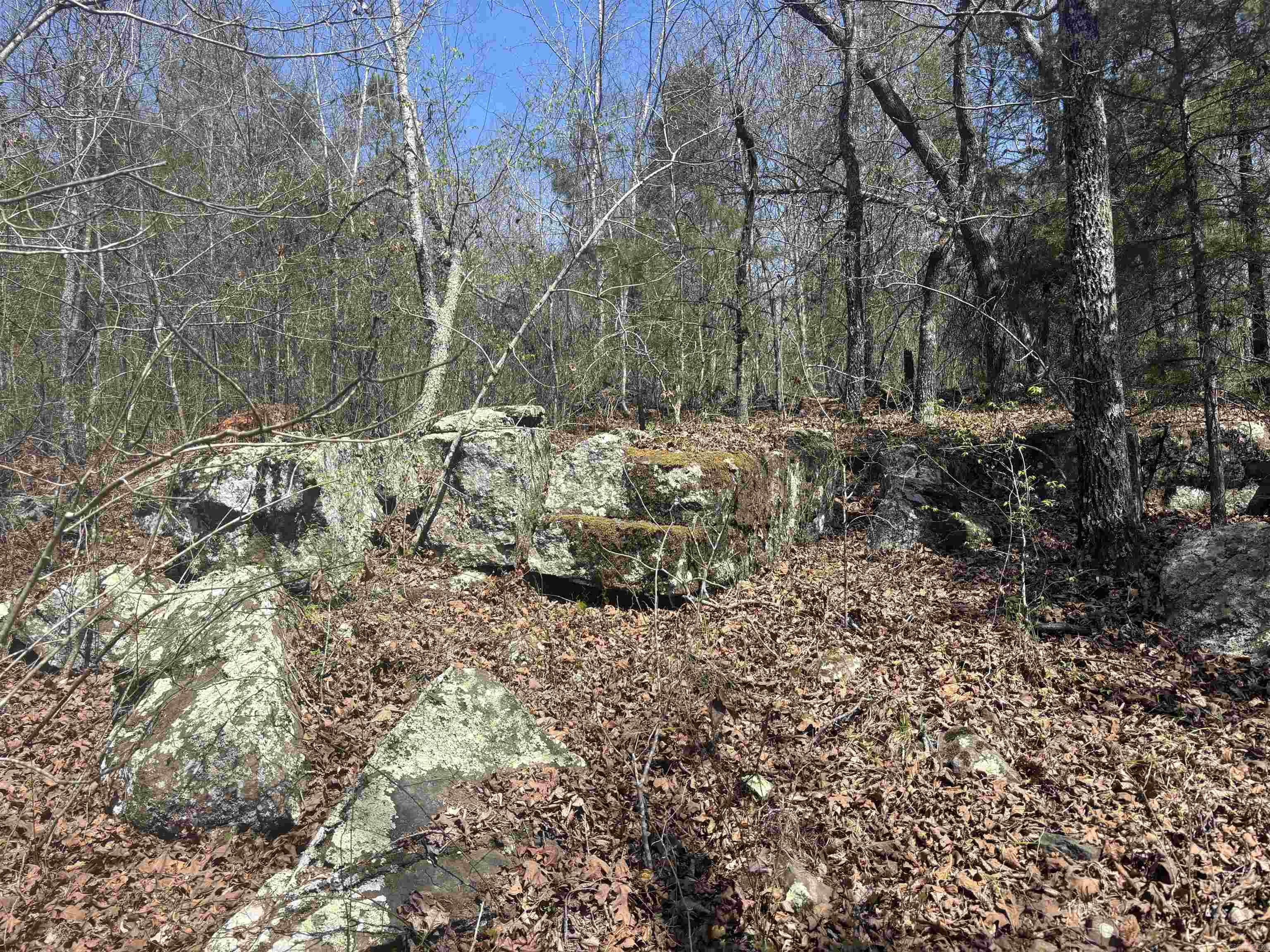 000 SW Bowling Road  Clinton, AR