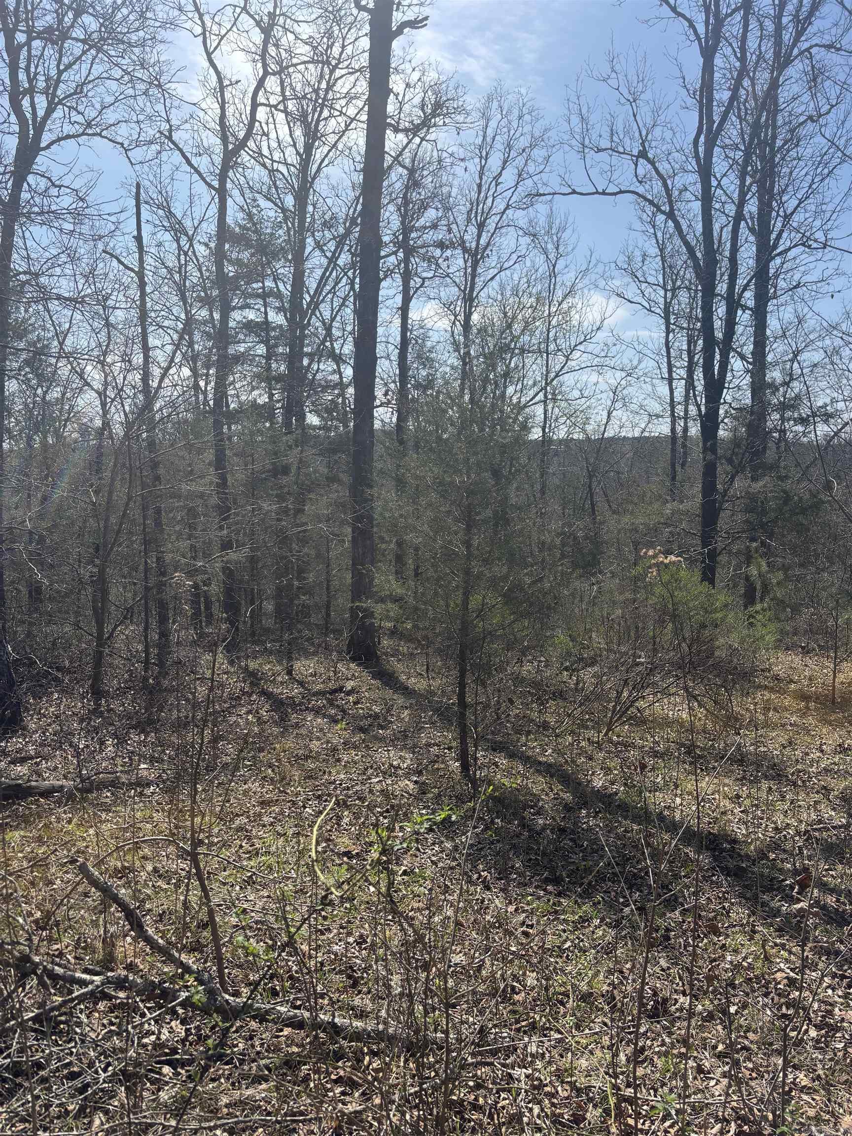 000 SW Bowling Road  Clinton, AR